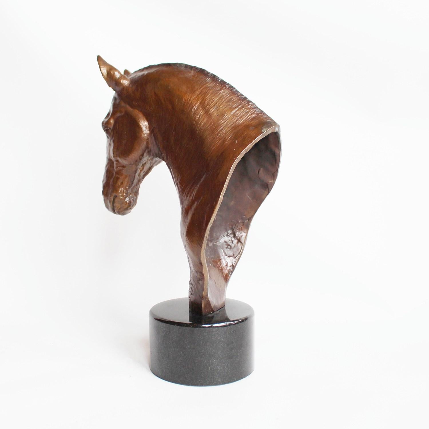 Bronze Cobb Horse Head by Stephen Winterburn