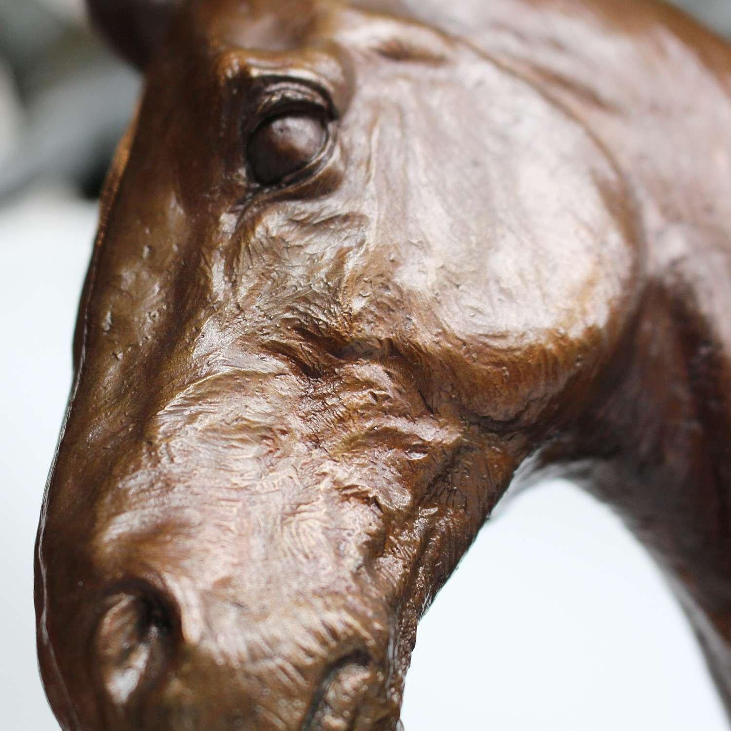 Cobb Horse Head by Stephen Winterburn 3