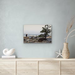 Untitled (Ship Harbor)