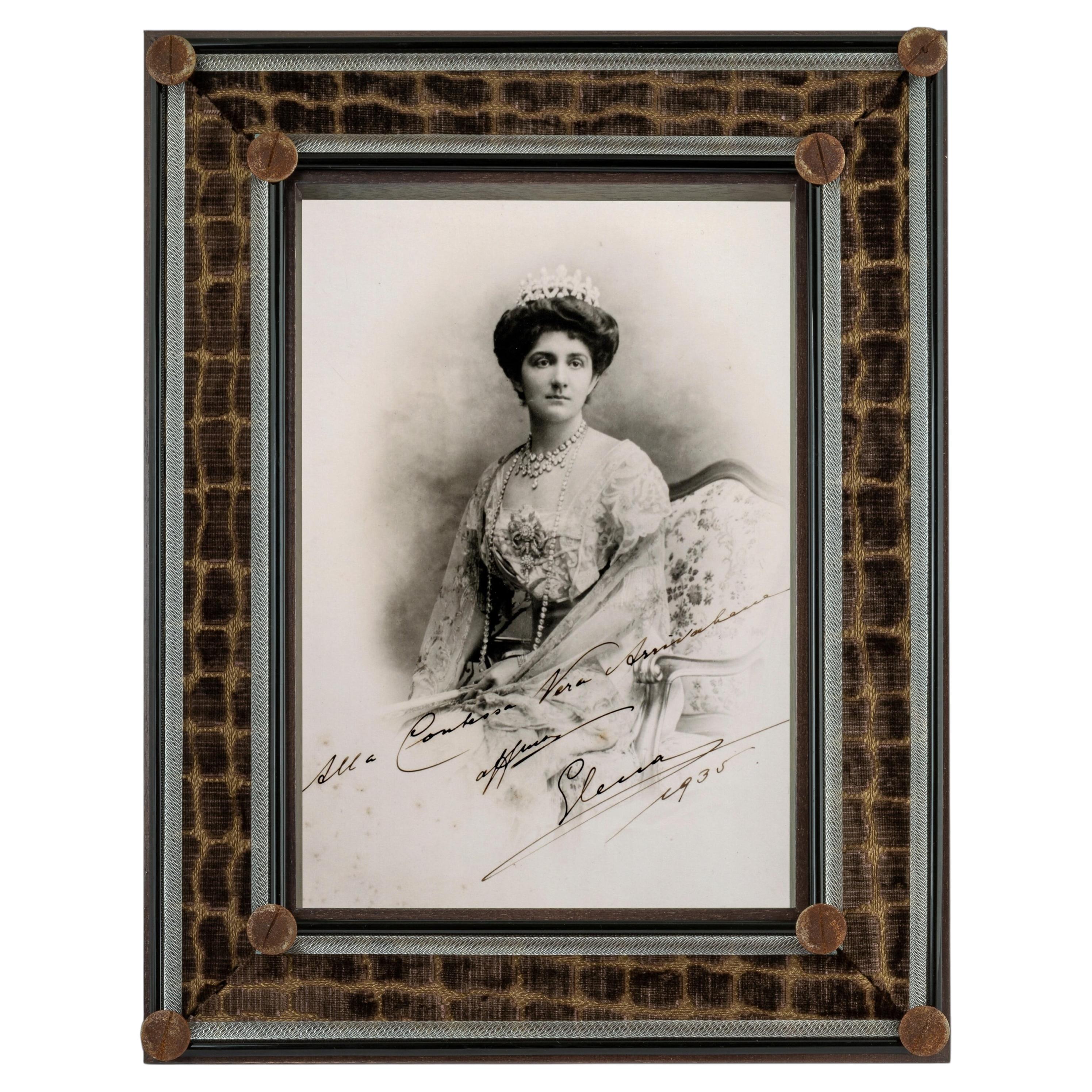 Giberto Venezia Cocodrillo Frame in Bevilacqua Velvet and Mahogany For Sale