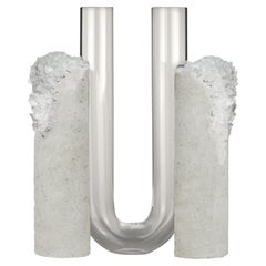 "Cochlea Dello Sviluppo" Winter1 Rock Crystals & Glass Contemporary Vase by Coki