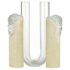 "Cochlea Dello Sviluppo" Winter2 Rock Crystals & Glass contemporary Vase by COKI