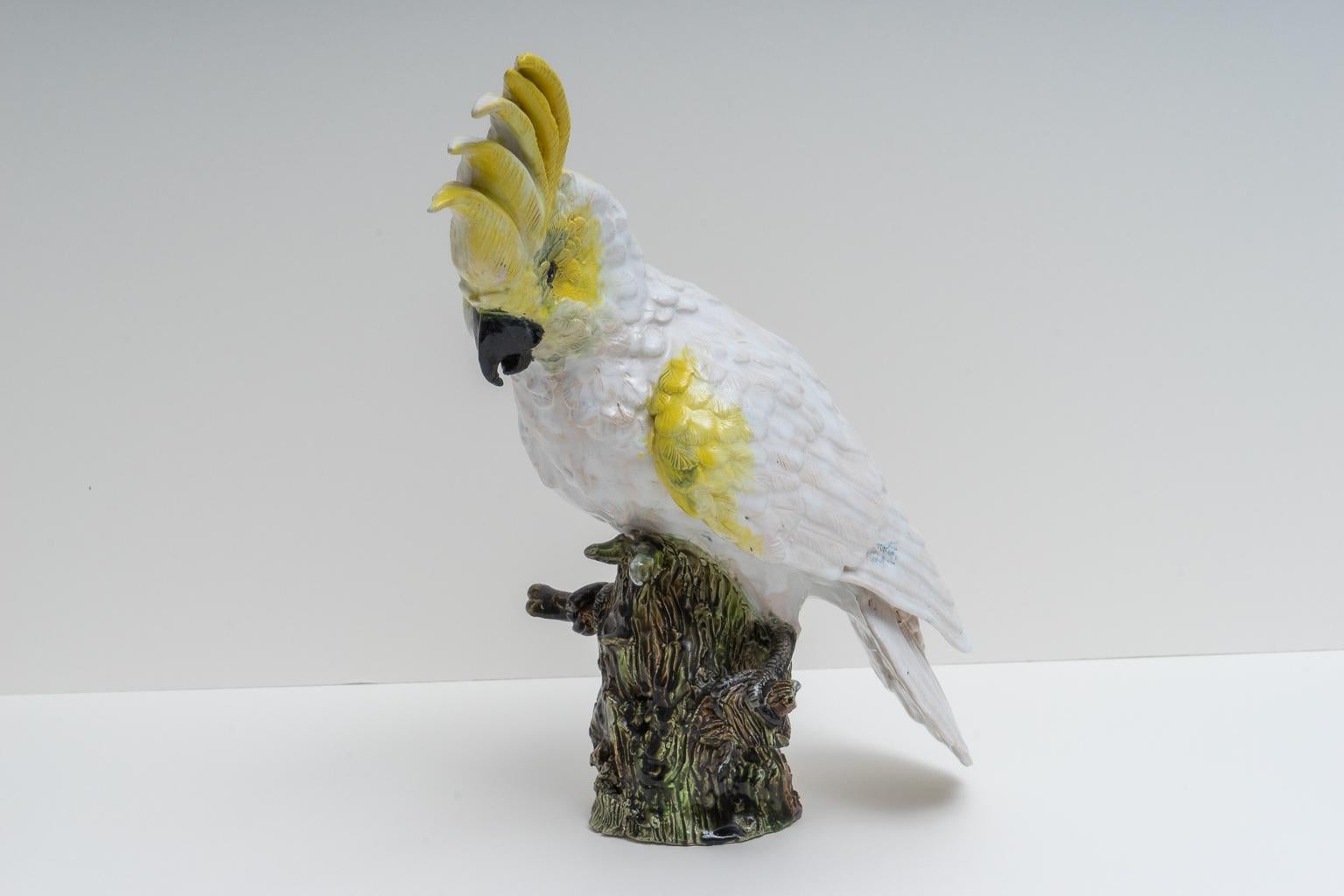 This stylish and chic Cockatoo figure was created in the 1930s-1940s by the French firm of Silvestrie and is hand painted in a soft colors of white, egg yolk yellow, mottled mossy green and black. The piece is perfect for an exotic interior or to