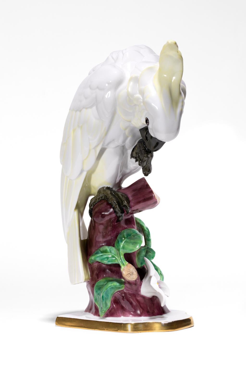 Cockatoo's are birds of great distinction with their crown of plumage. Our Cockatoo in this porcelain is absorbed in a daily task of preening while perched on a flowering branch of a fruit tree. The posture is exquisitely rendered and the feathers