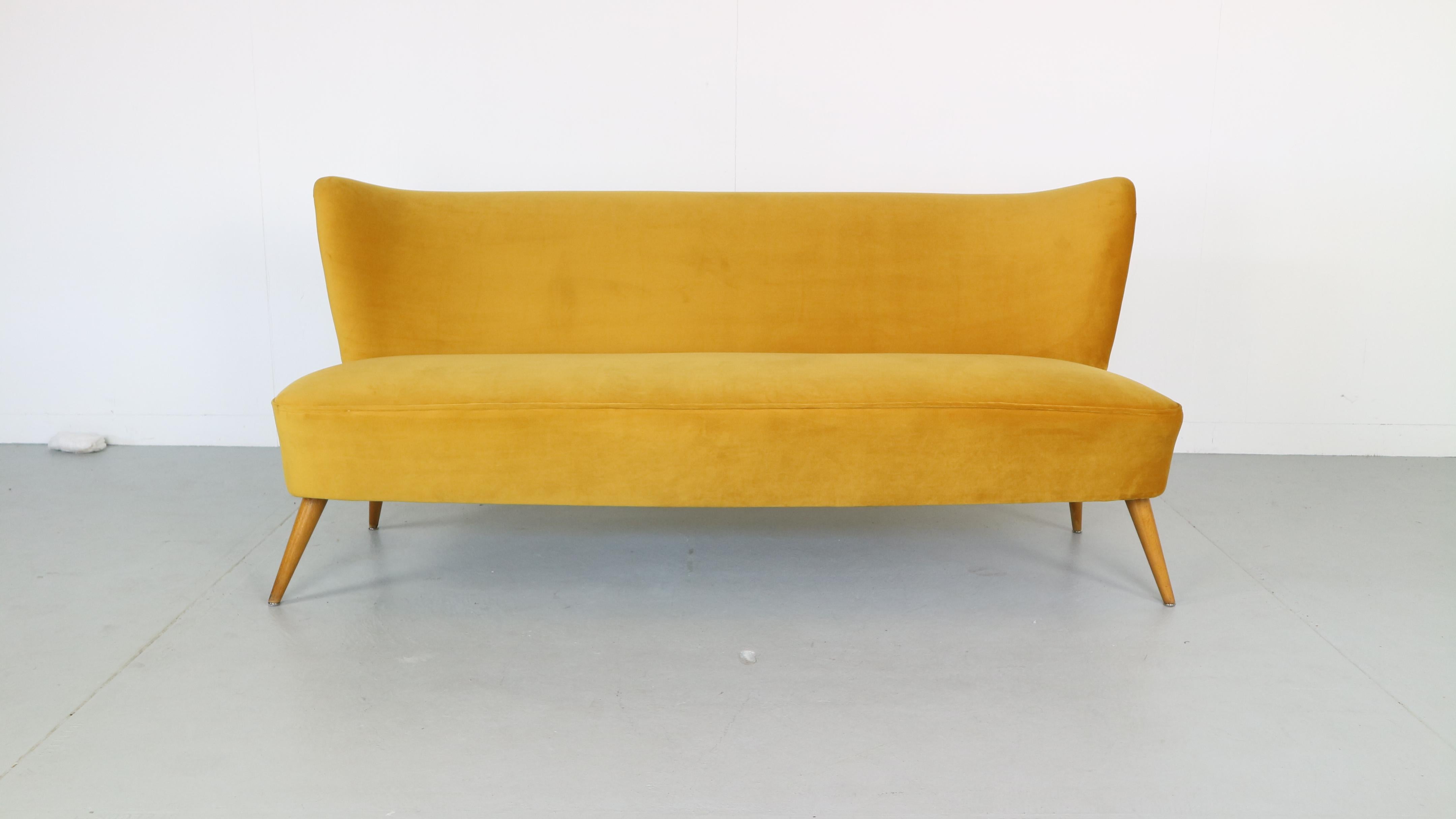 Newly upholstered 1950s sofa in ocher yellow velvet,
Germany, 1950s.