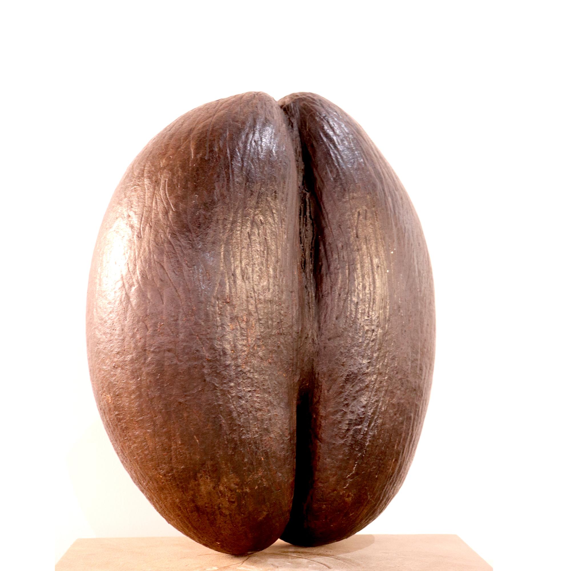 Deemed as ‘the forbidden fruit of Seychelles; this rare large sculpture is made of patinated coconut. It depicts a nut with suggestive features. Great for a quirky home edition. It is a rare and beautiful collectors item.