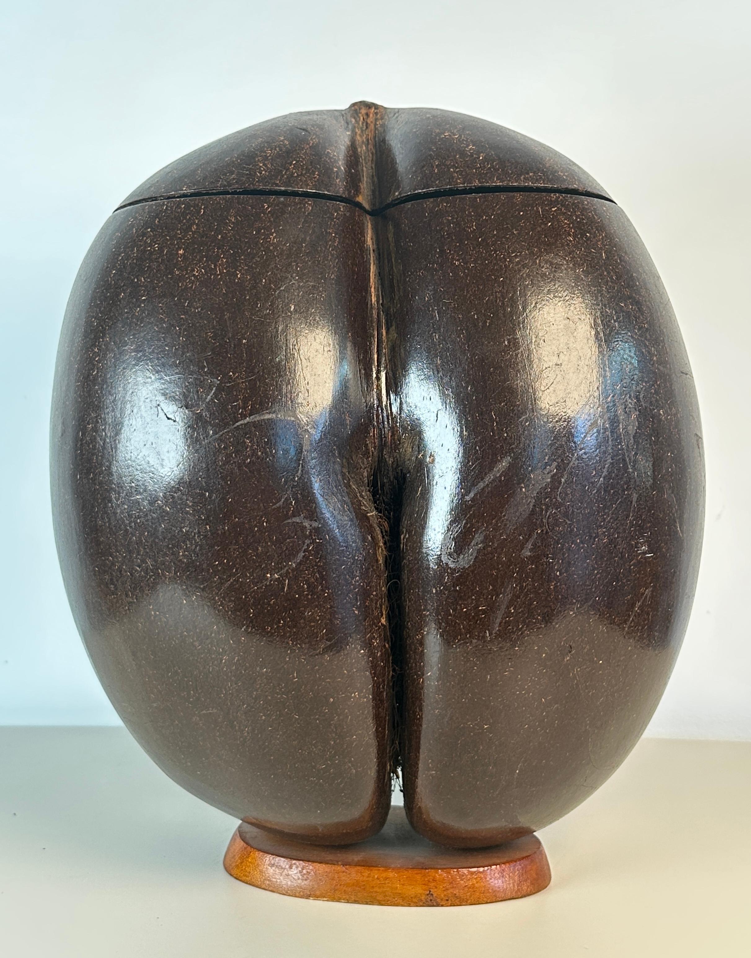 Antique or Vintage Coco de Mer hinged box.

Very good condition with light wear to surface as shown in photos. 