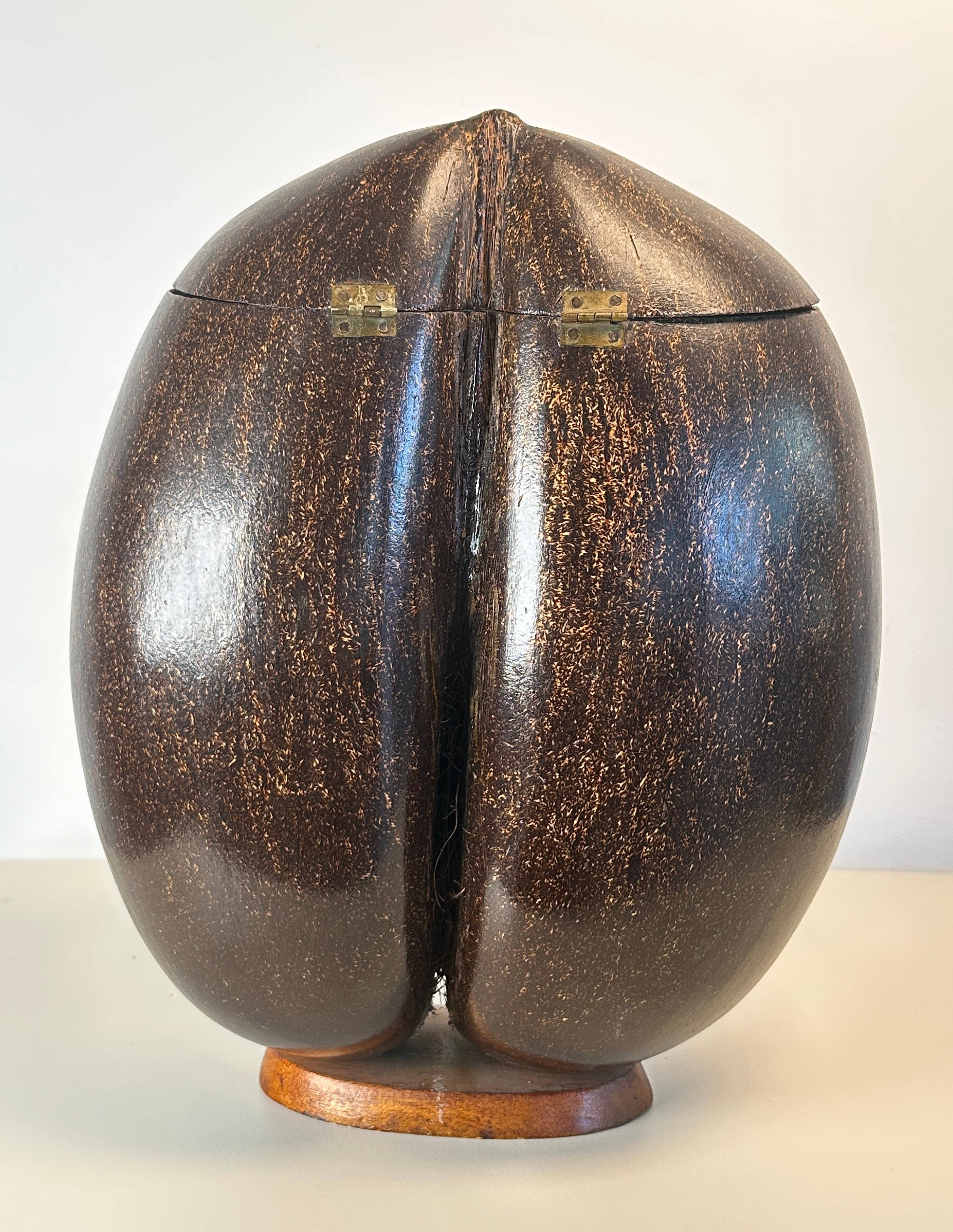 Coco de Mer Box For Sale 2
