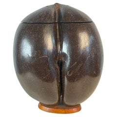 Coco de Mer Box