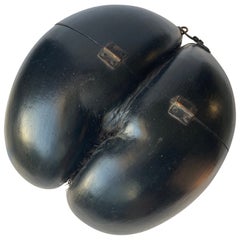 Coco de Mer, Ebony Box, Art, Decorative Sculpture, Late 19th/Early 20th Century