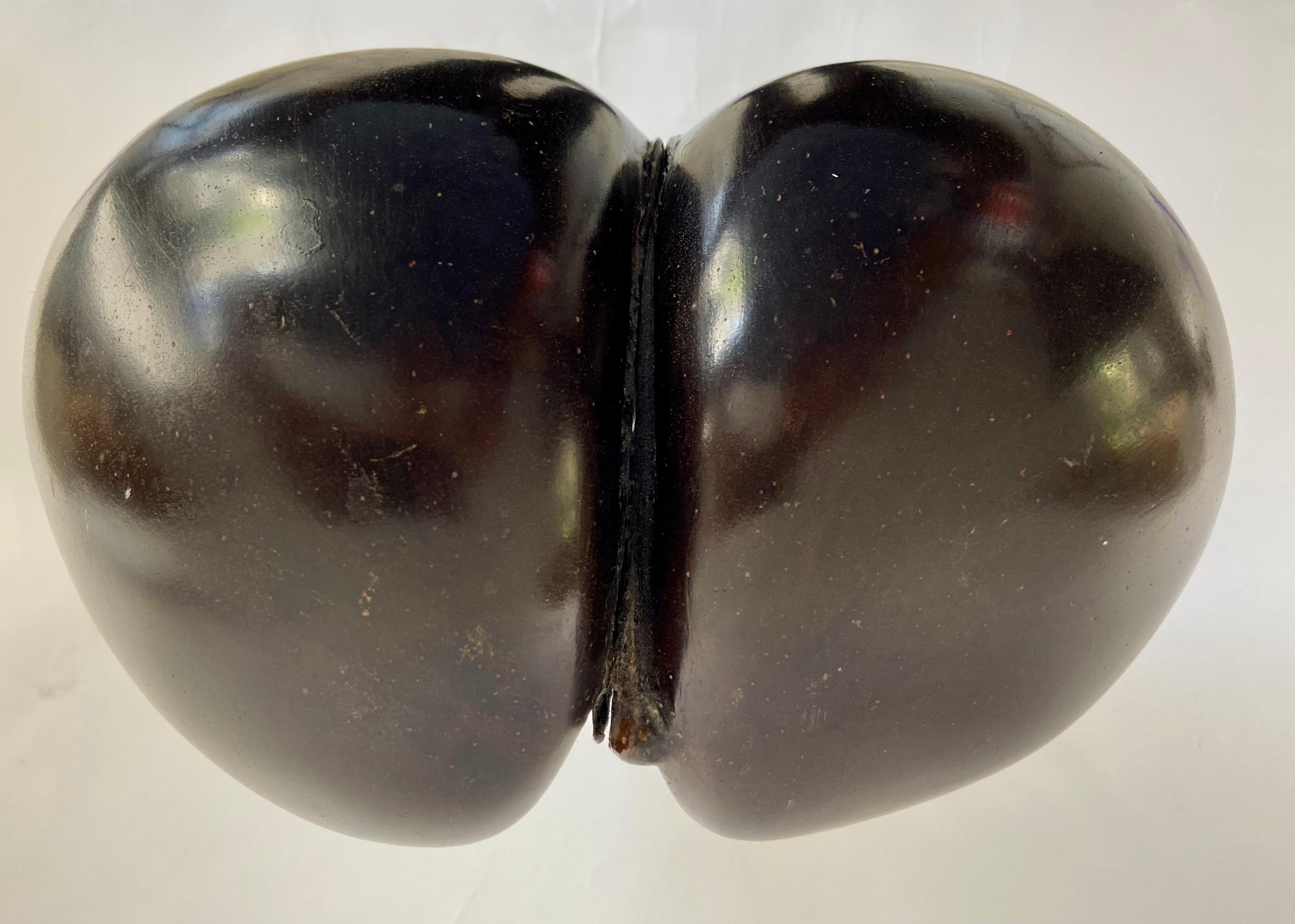 Late 20th Century Coco de Mer
