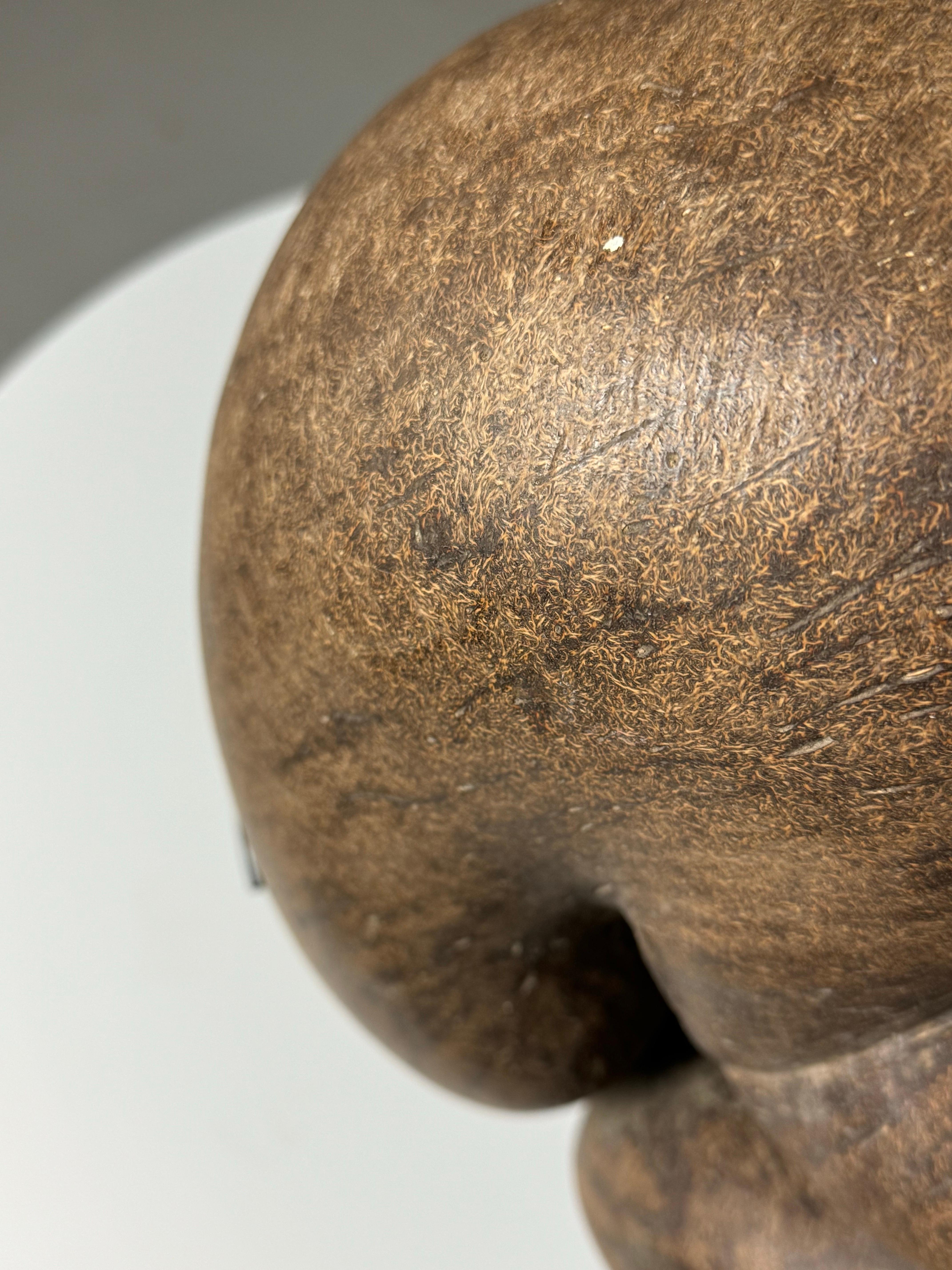 Coco de Mer In Excellent Condition In MILL, NL