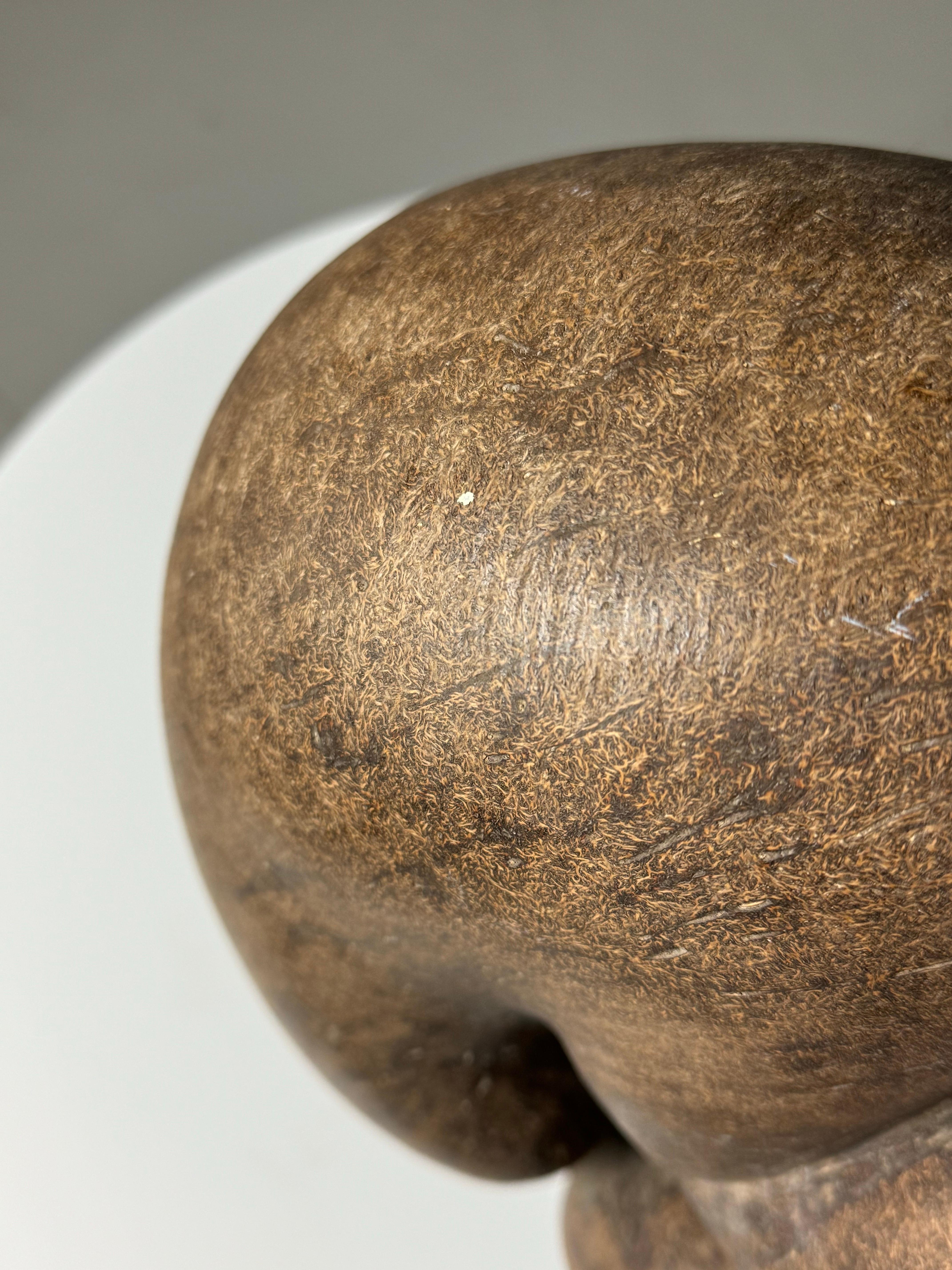 Coco de Mer 2