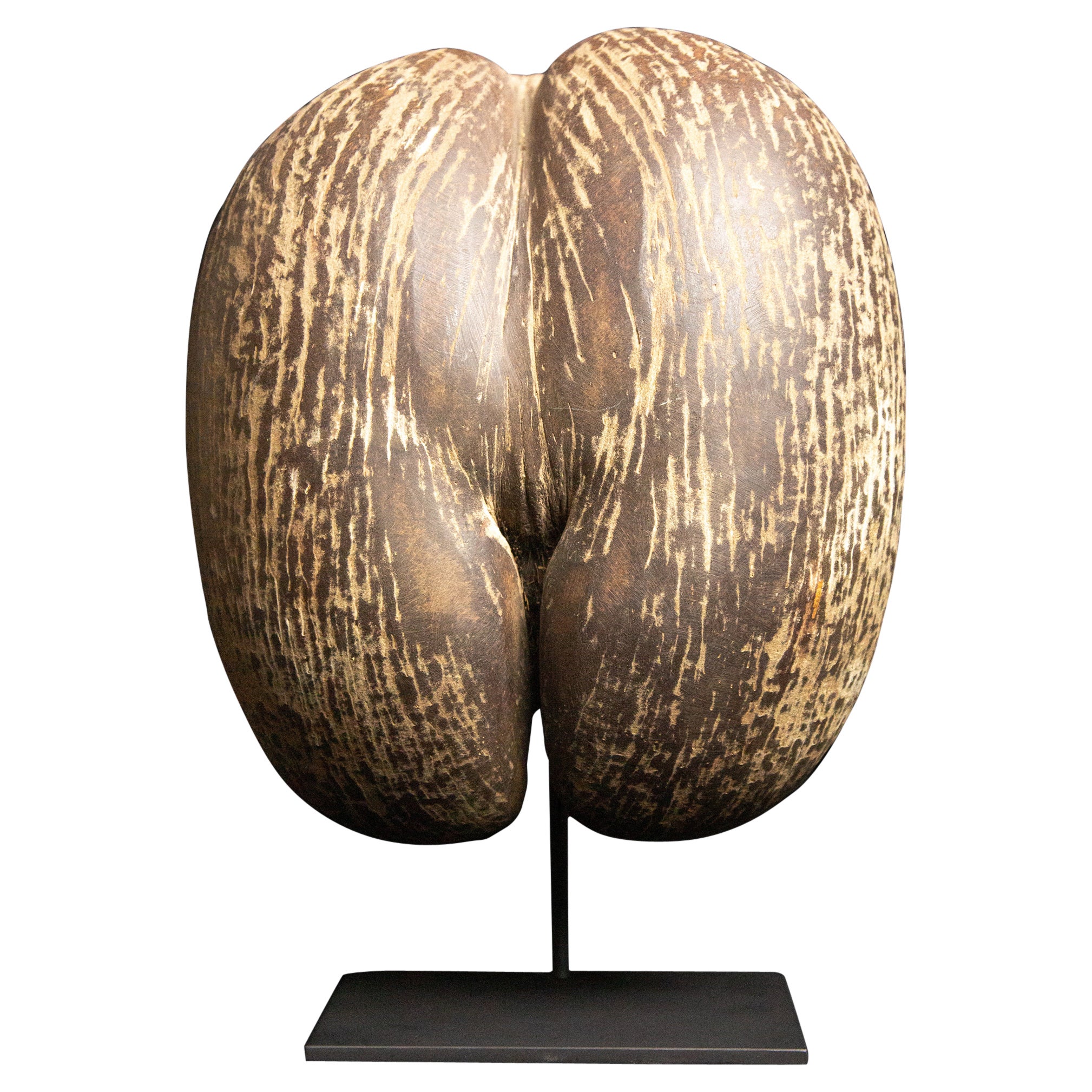 Coco De Mer