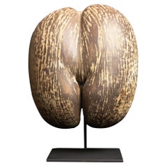 Coco De Mer
