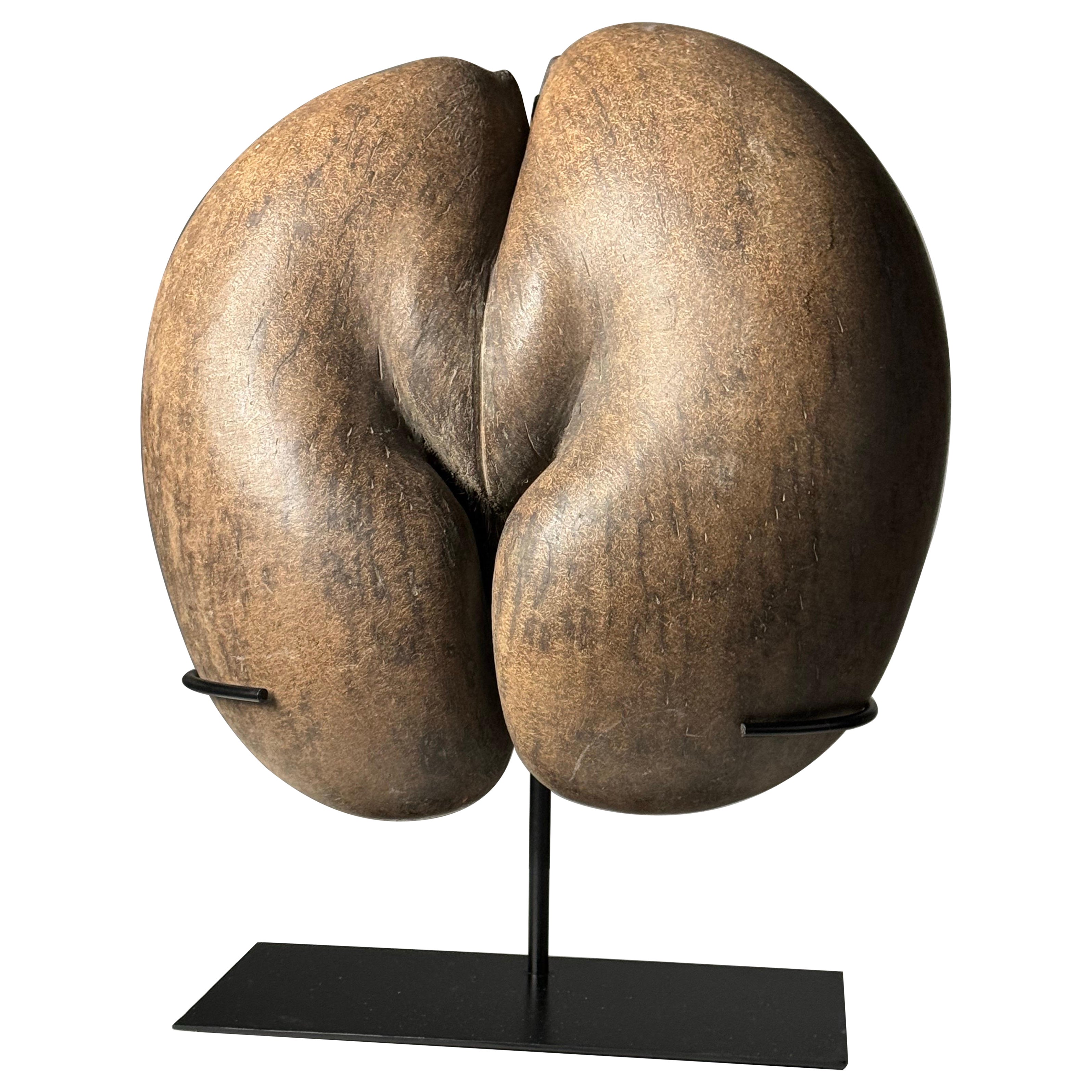 Coco de Mer