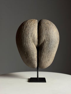 Coco de Mer on a stand
