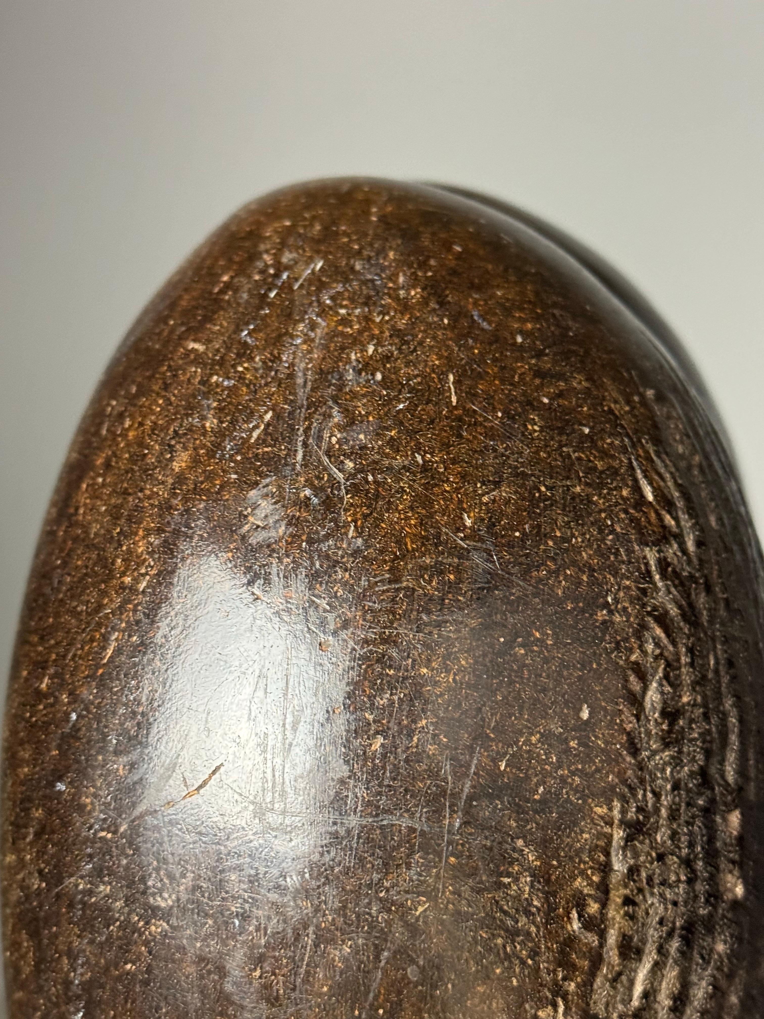Coco de Mer on custom stand For Sale 7