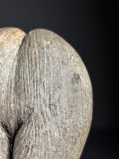 Coco de mer on custom stand