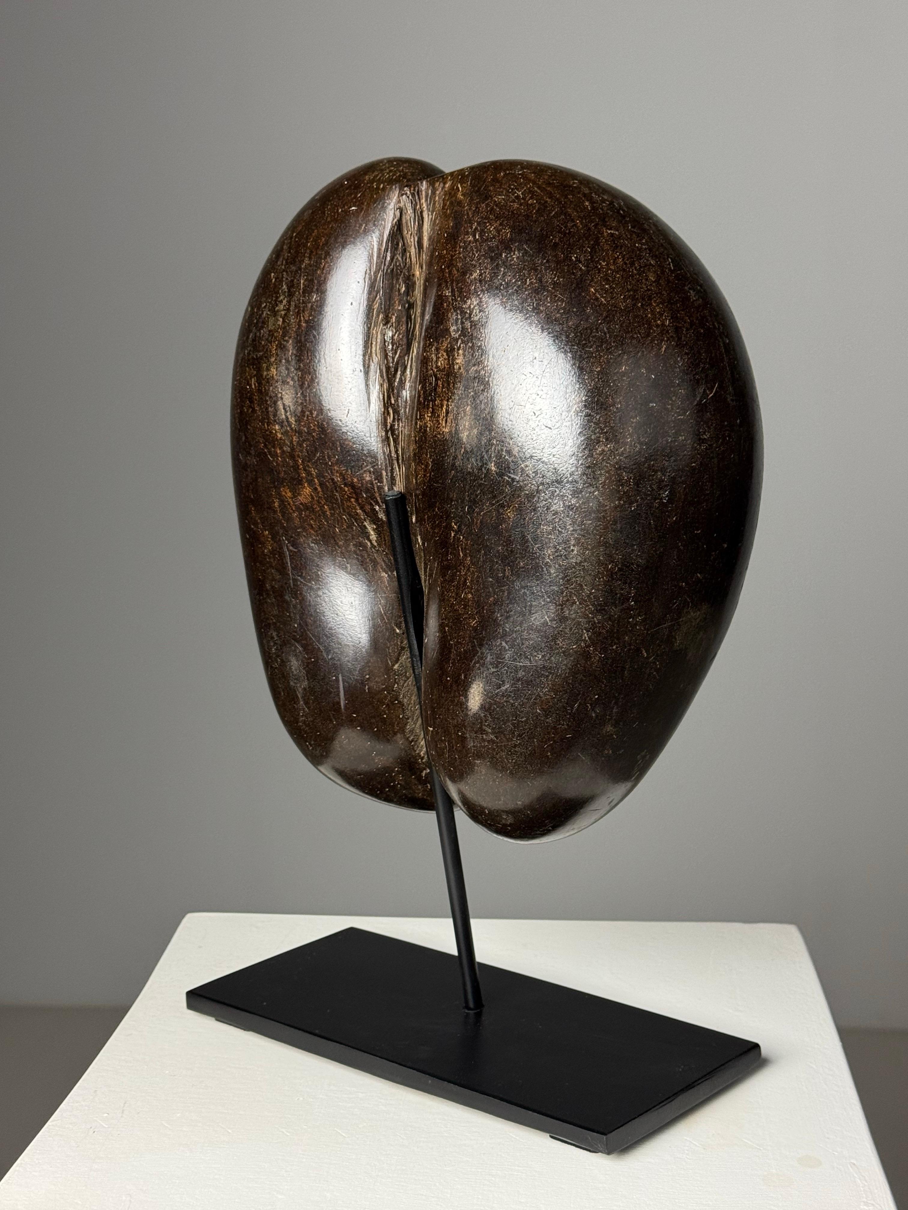 Wood Coco de Mer on custom stand For Sale