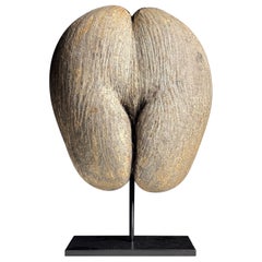 Coco de mer on custom stand