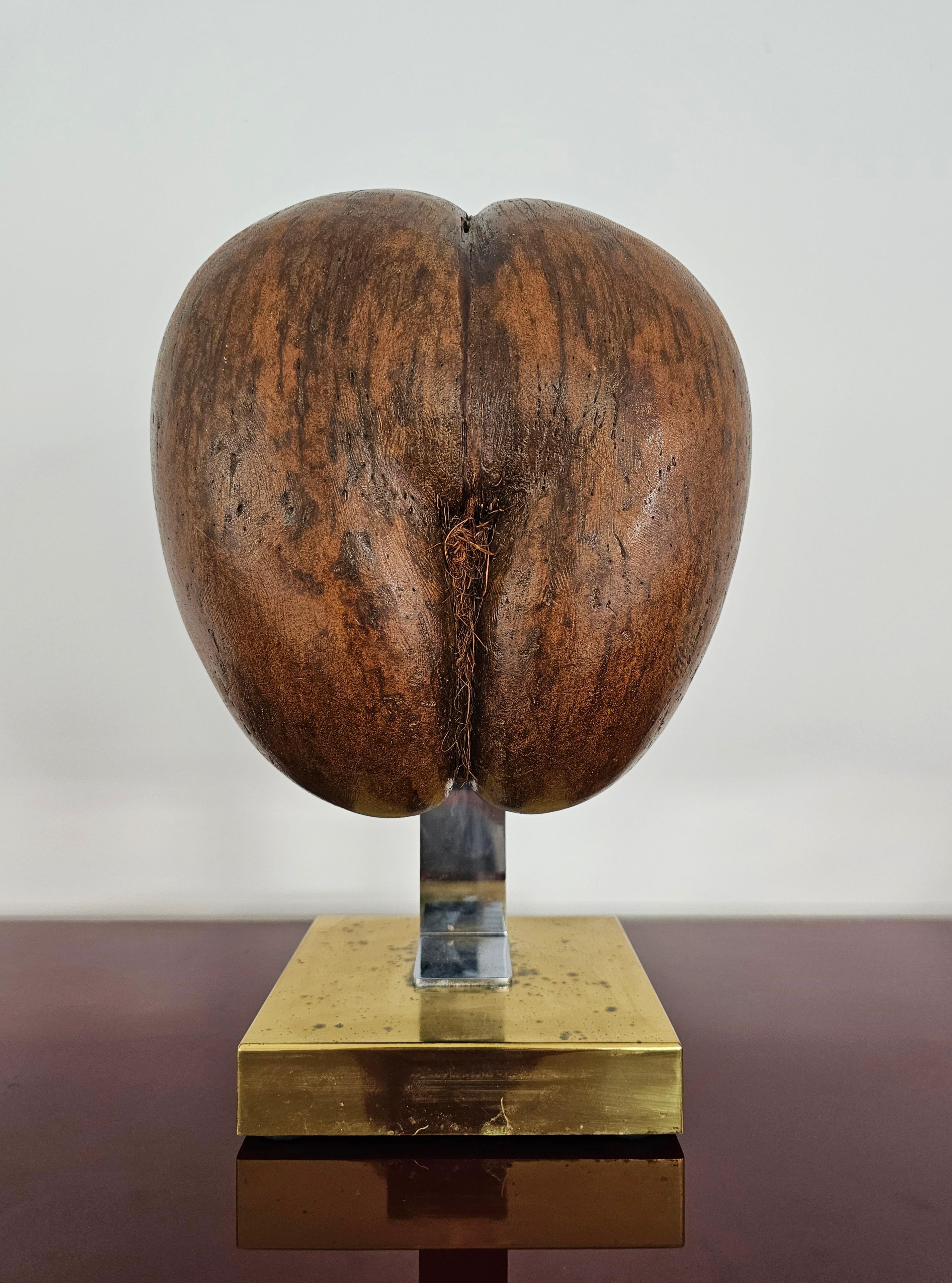 Mid-Century Modern Coco De Mer or Double Coconut Sculpture on Brass Stand, France 1970s For Sale