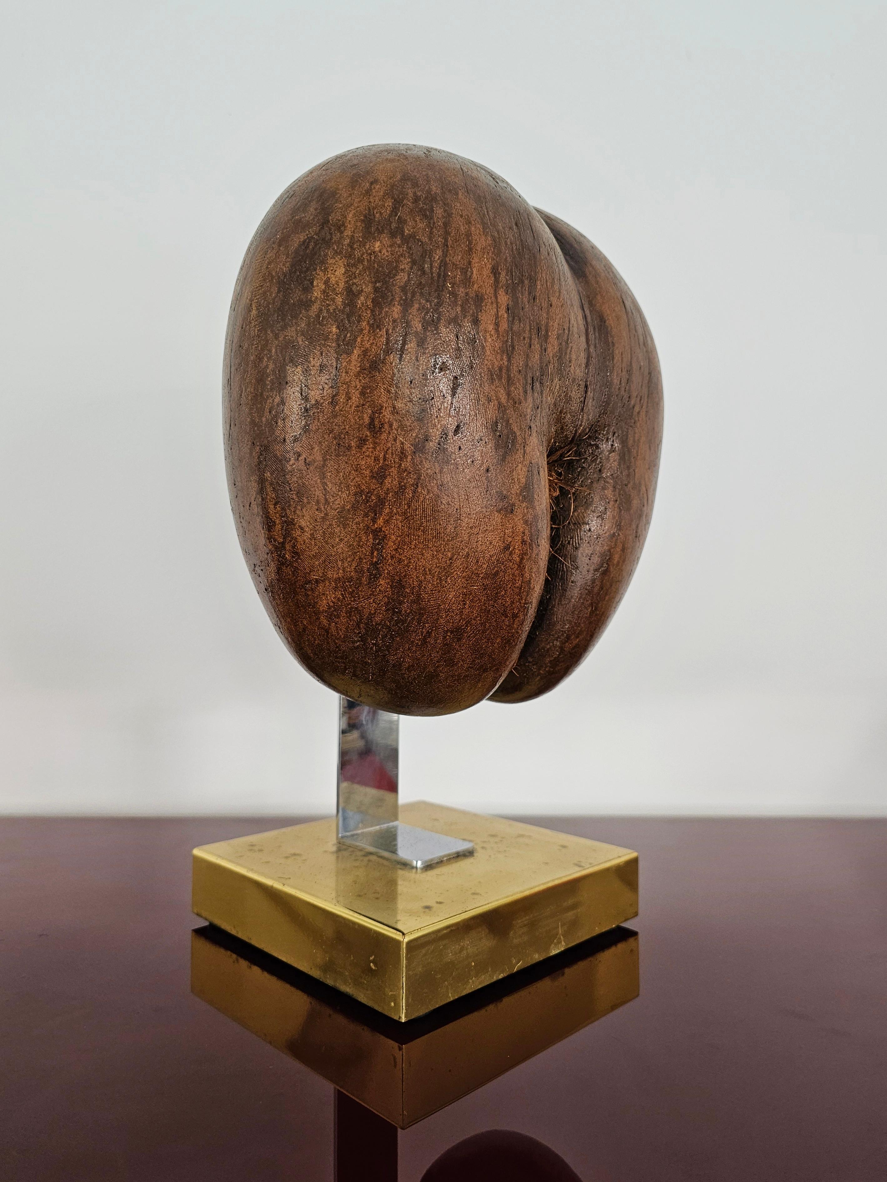 French Coco De Mer or Double Coconut Sculpture on Brass Stand, France 1970s For Sale