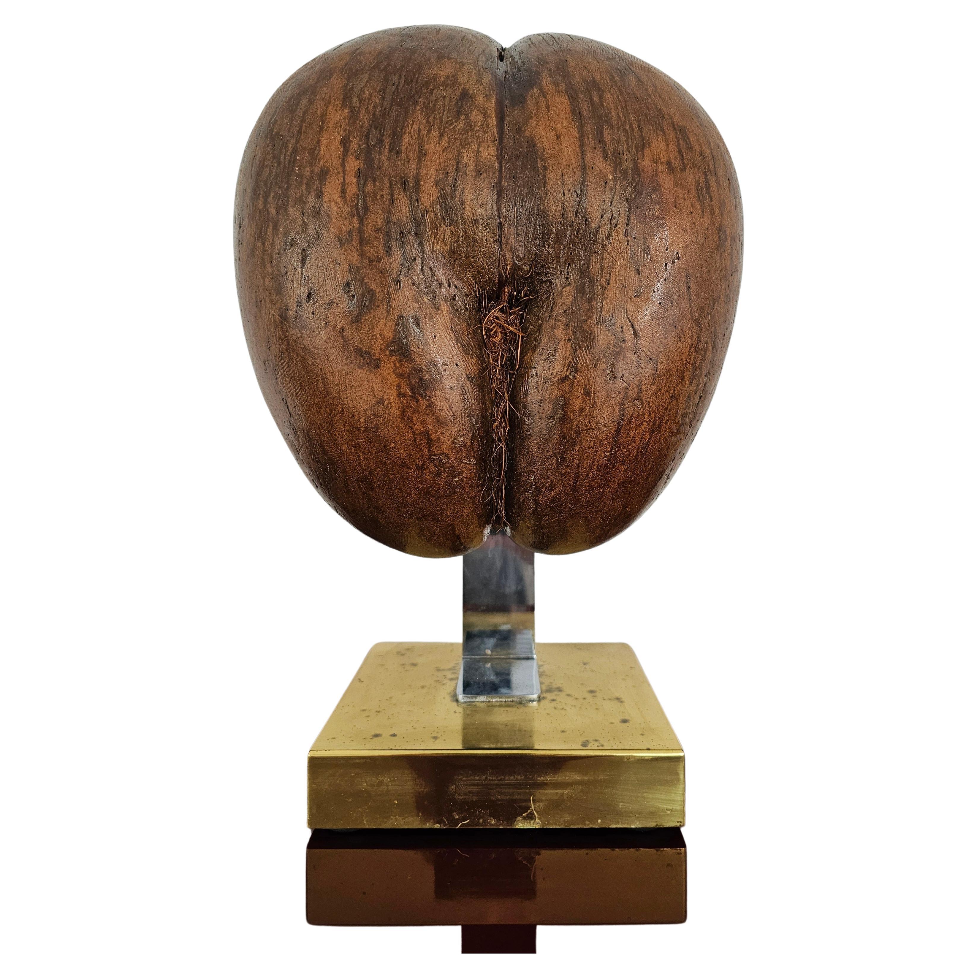 Coco De Mer or Double Coconut Sculpture on Brass Stand, France 1970s For Sale
