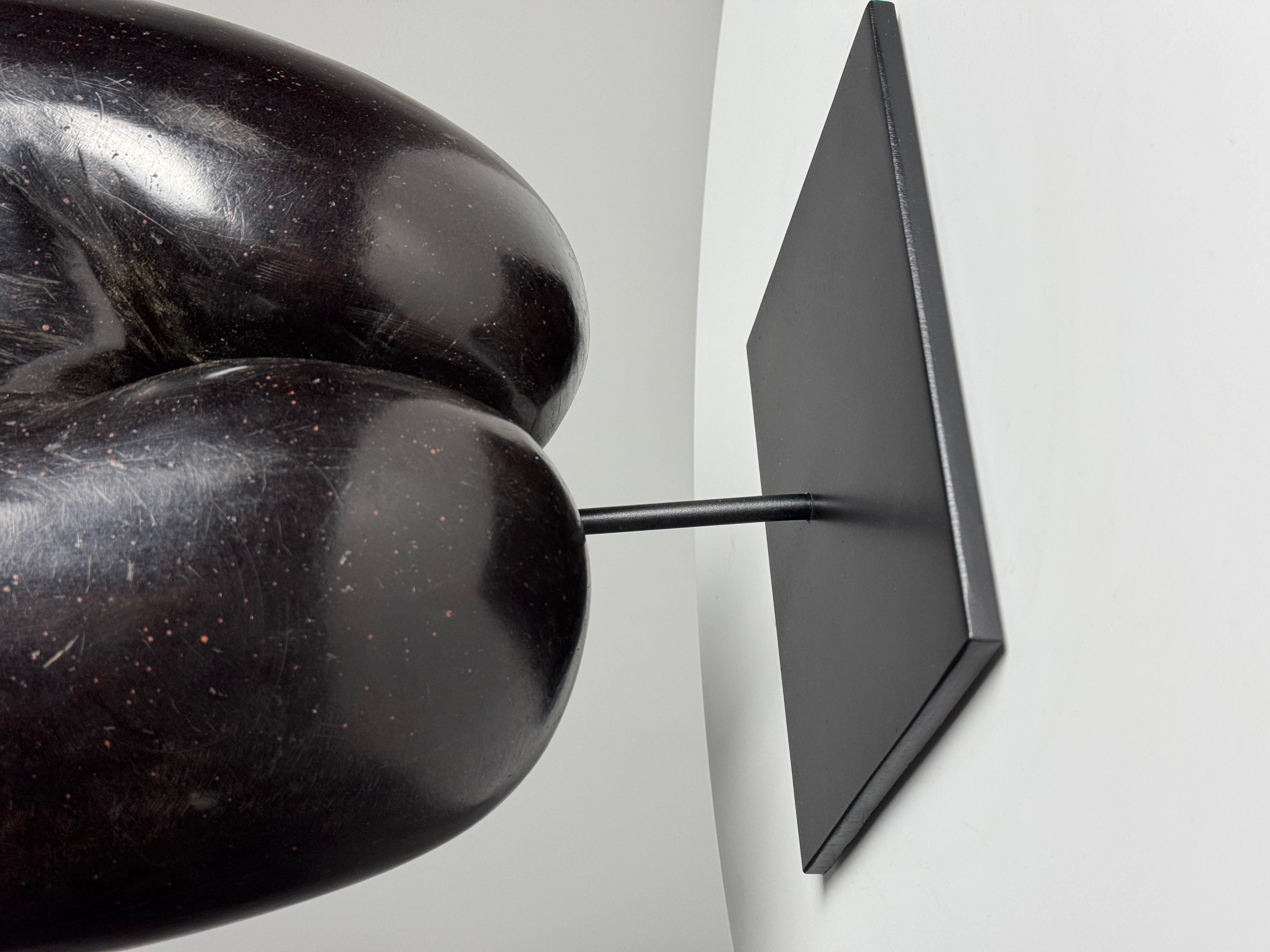 Coco de mer polished 3