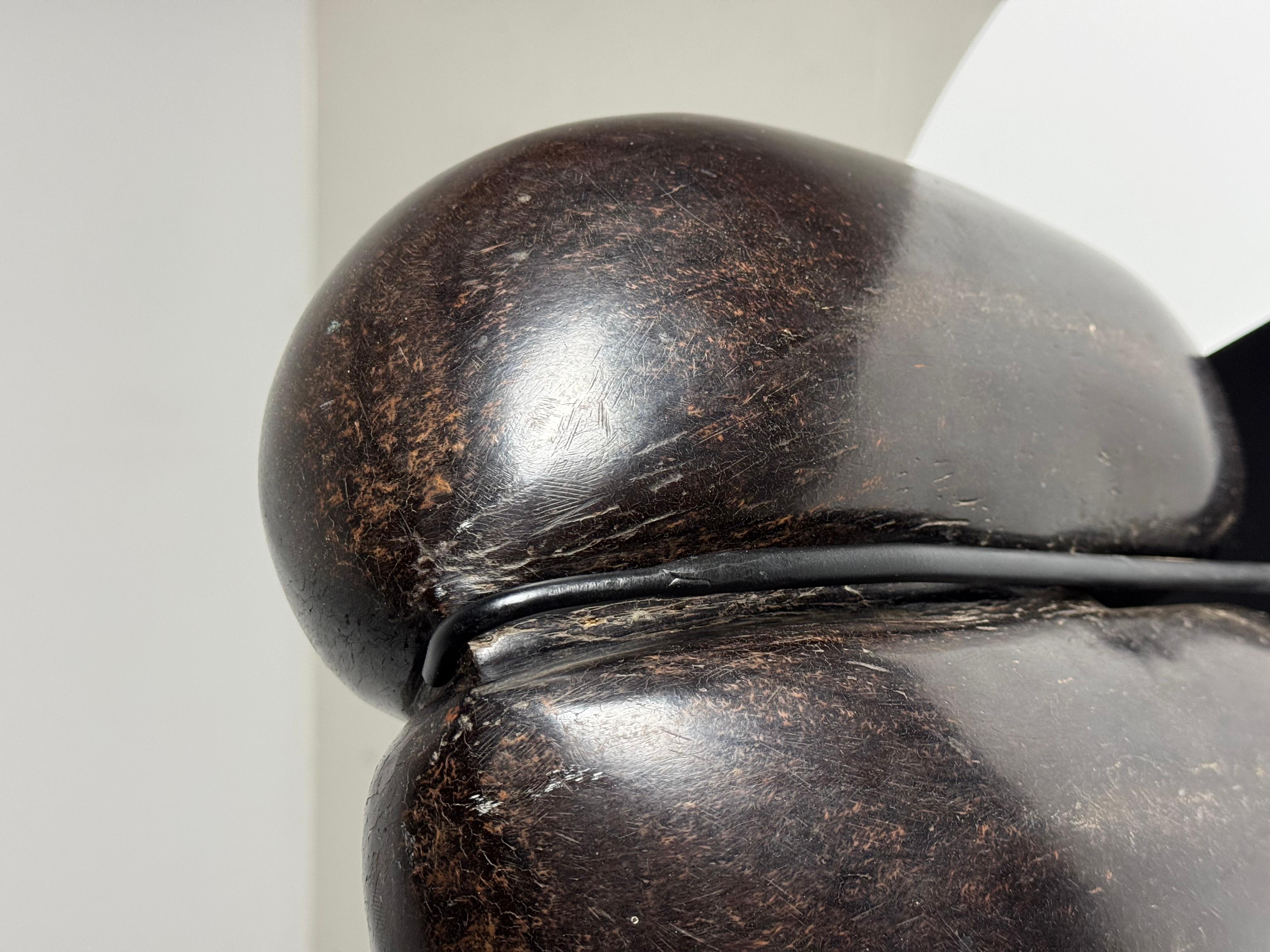 Coco de mer polished 5