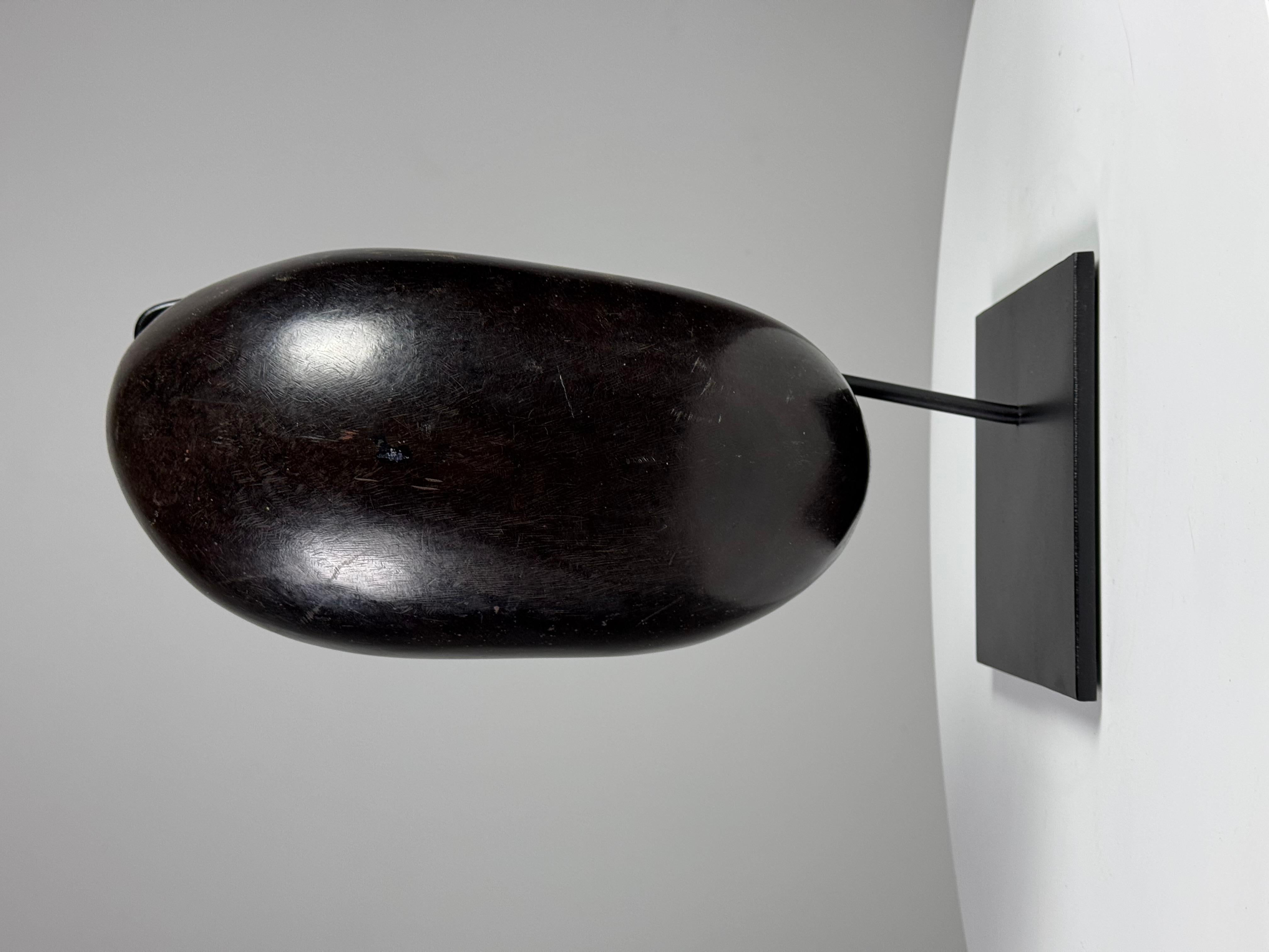 Coco de mer polished 6