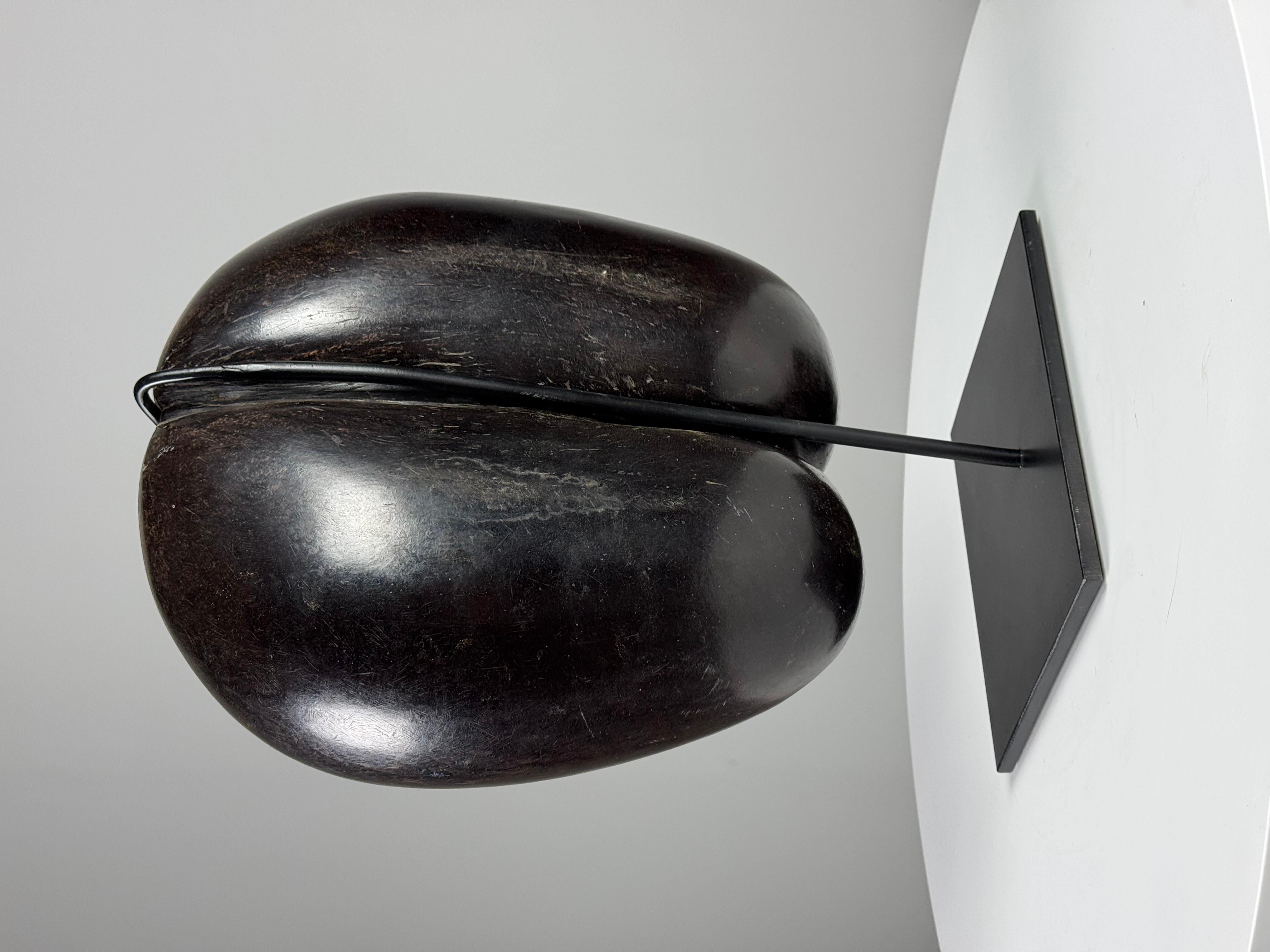 Coco de mer polished 7