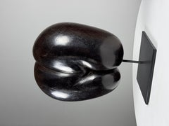 Coco de mer polished