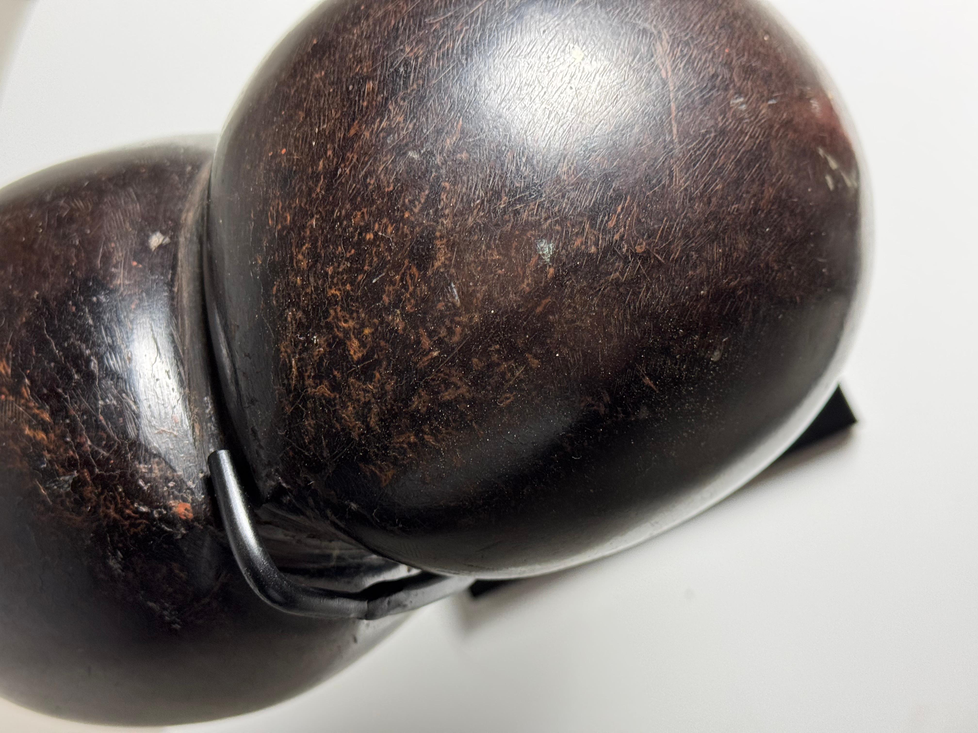 Polished Coco de mer polished