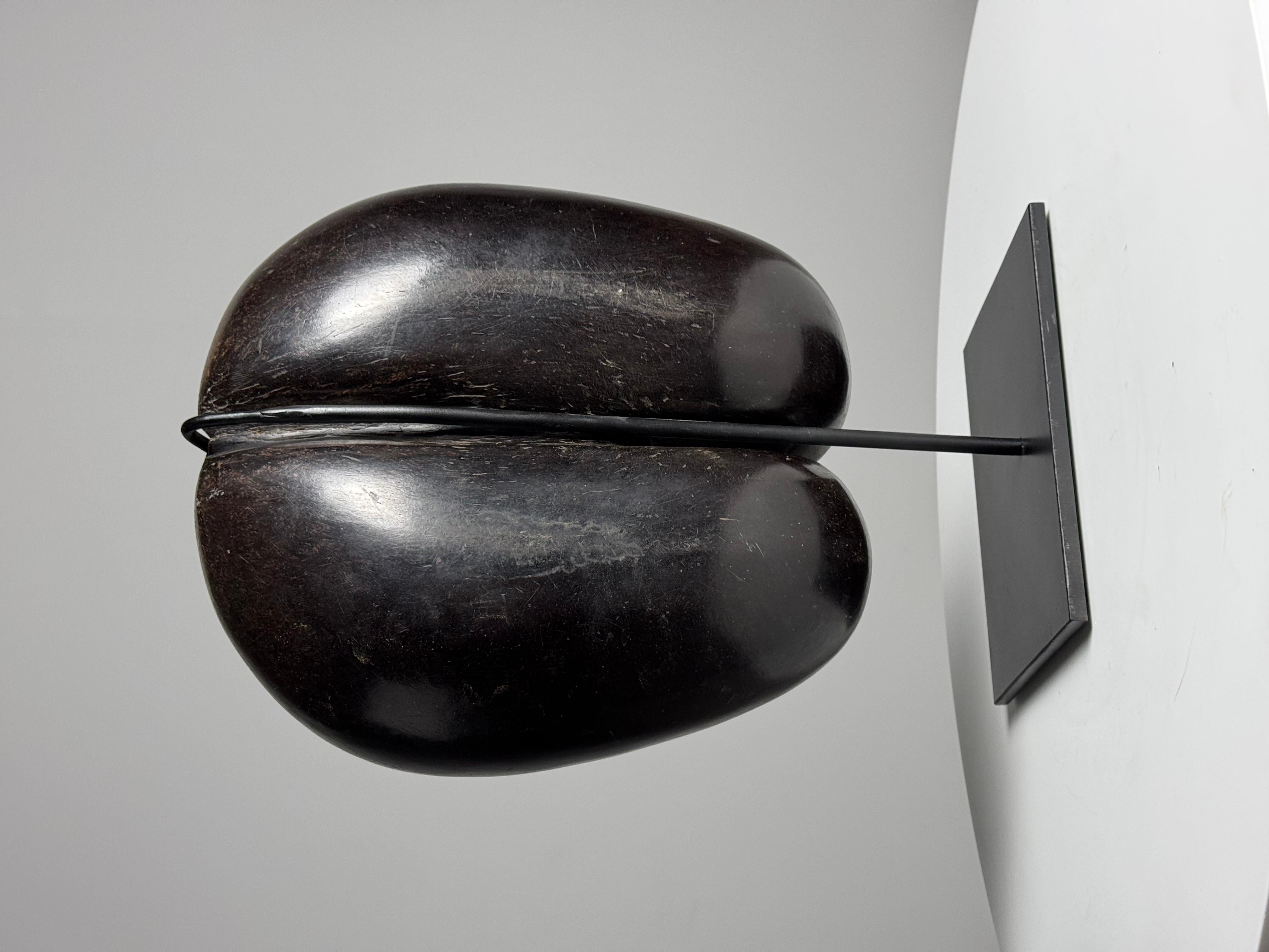 Coco de mer polished In Good Condition In MILL, NL