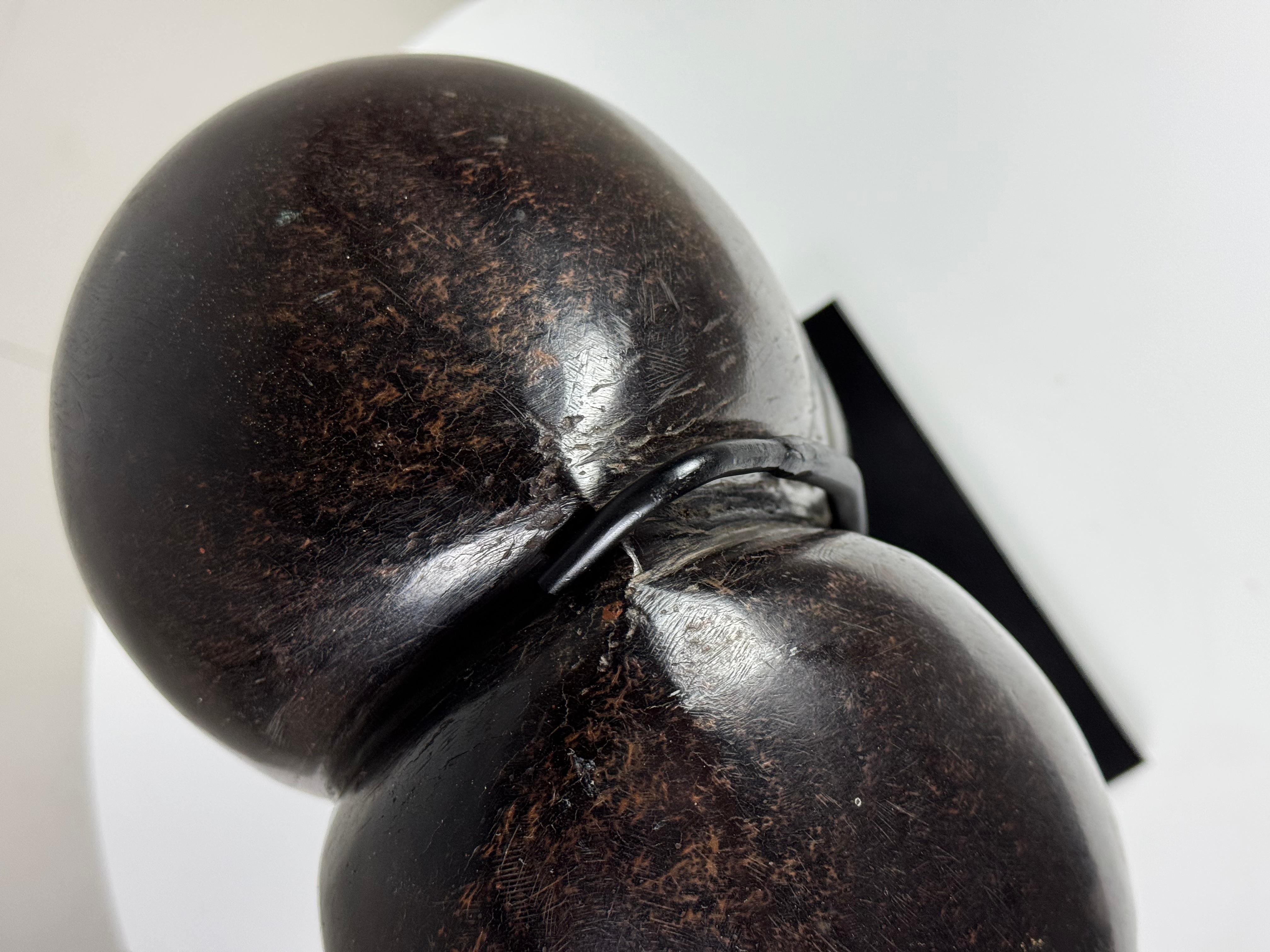 Coconut Coco de mer polished