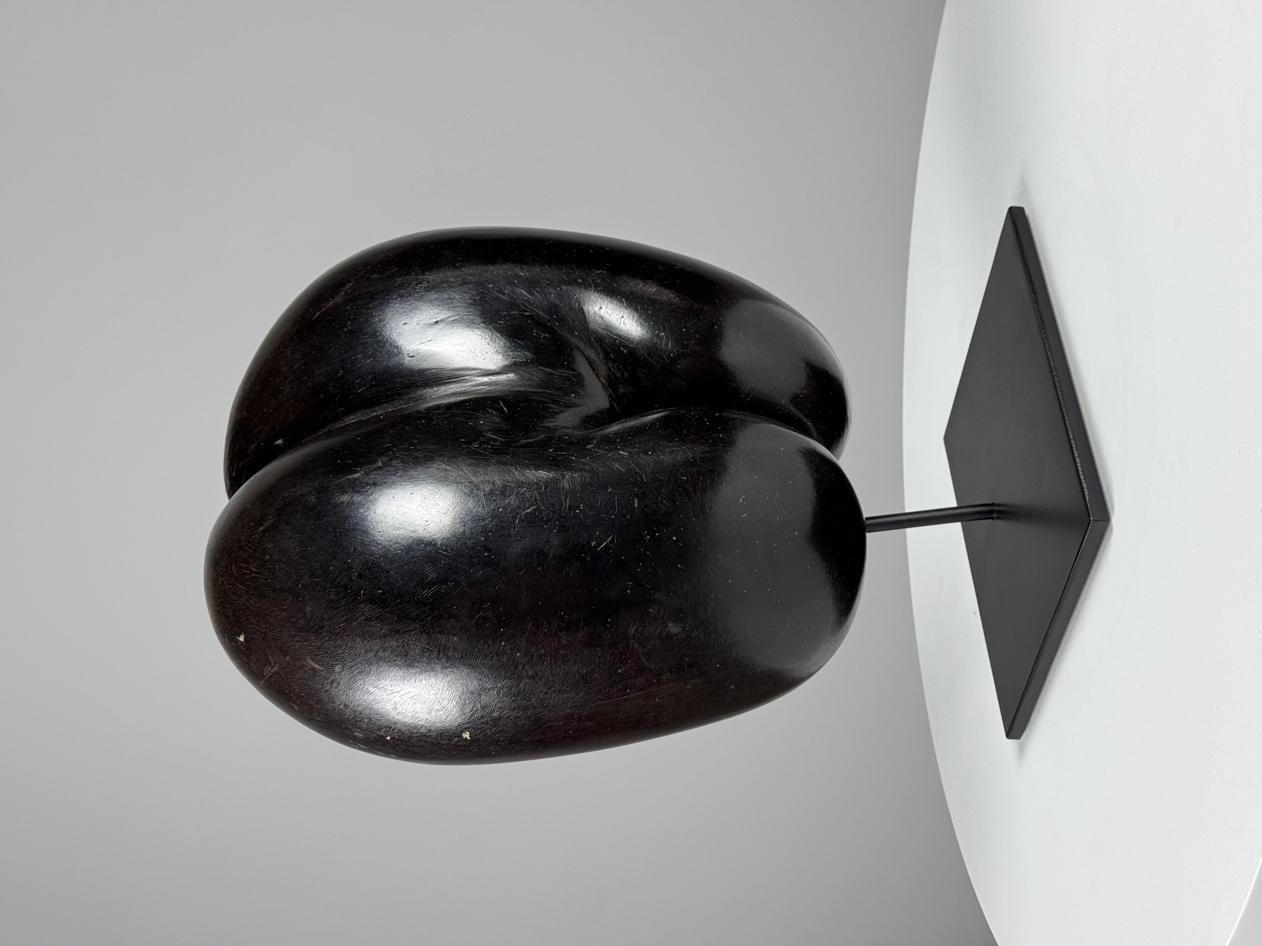 Coco de mer polished 1