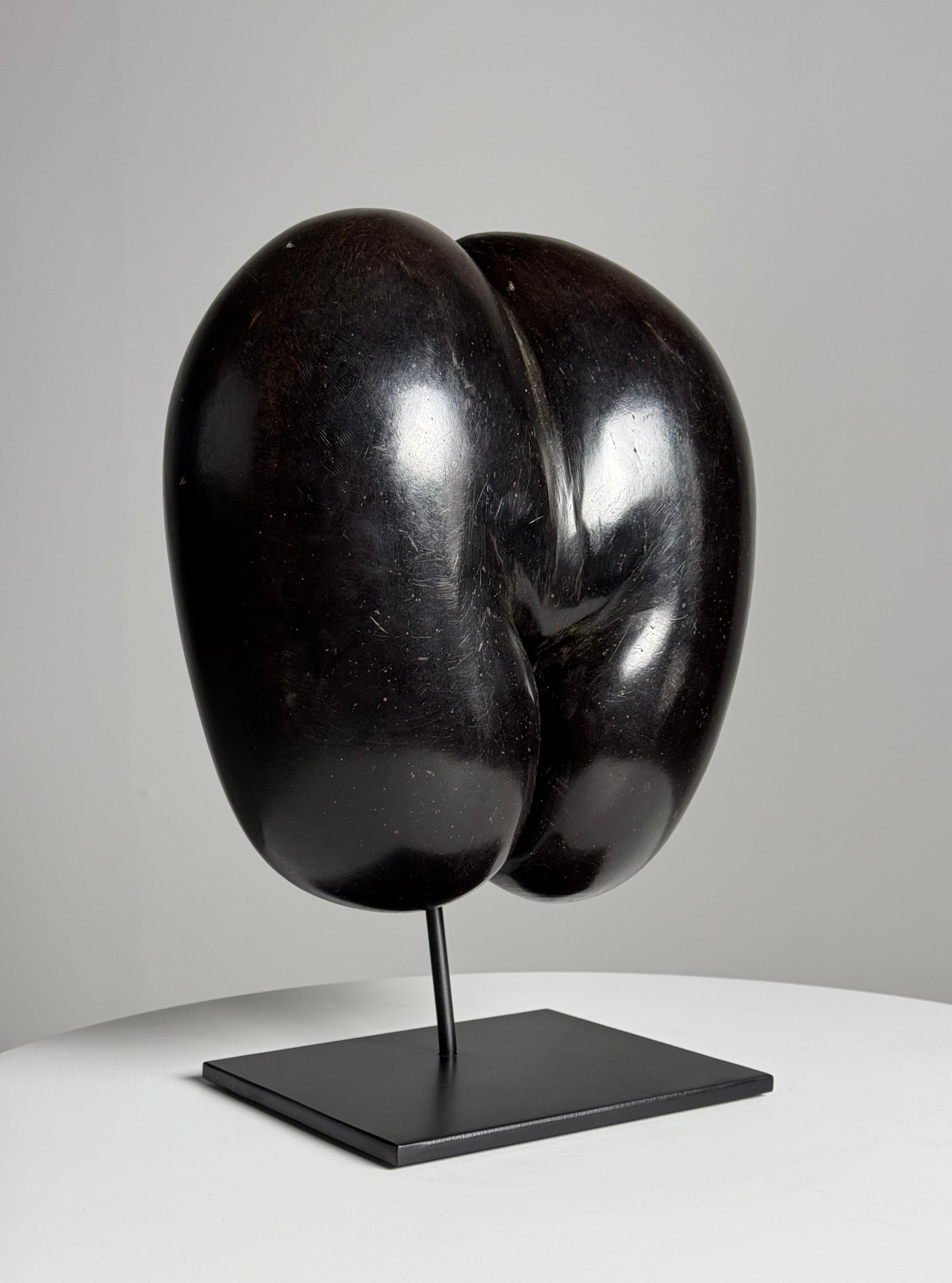 Coco de mer polished 2