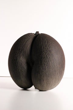 Coco De Mer Shell circa 1900s Seychelles, Perfect for Your Wunderkammer