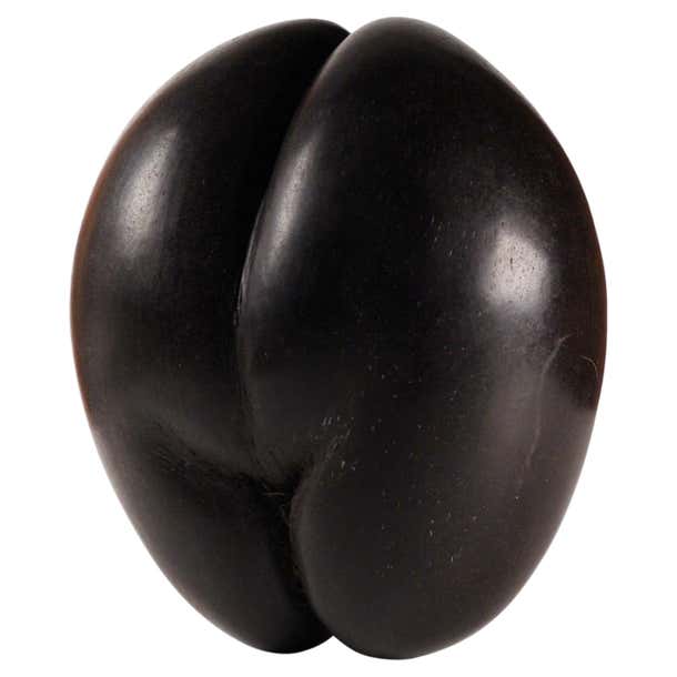 Coco Polish Shell Coco De Mer Shell circa 1900s Seychelles, Perfect for Your Wunderkammer ...