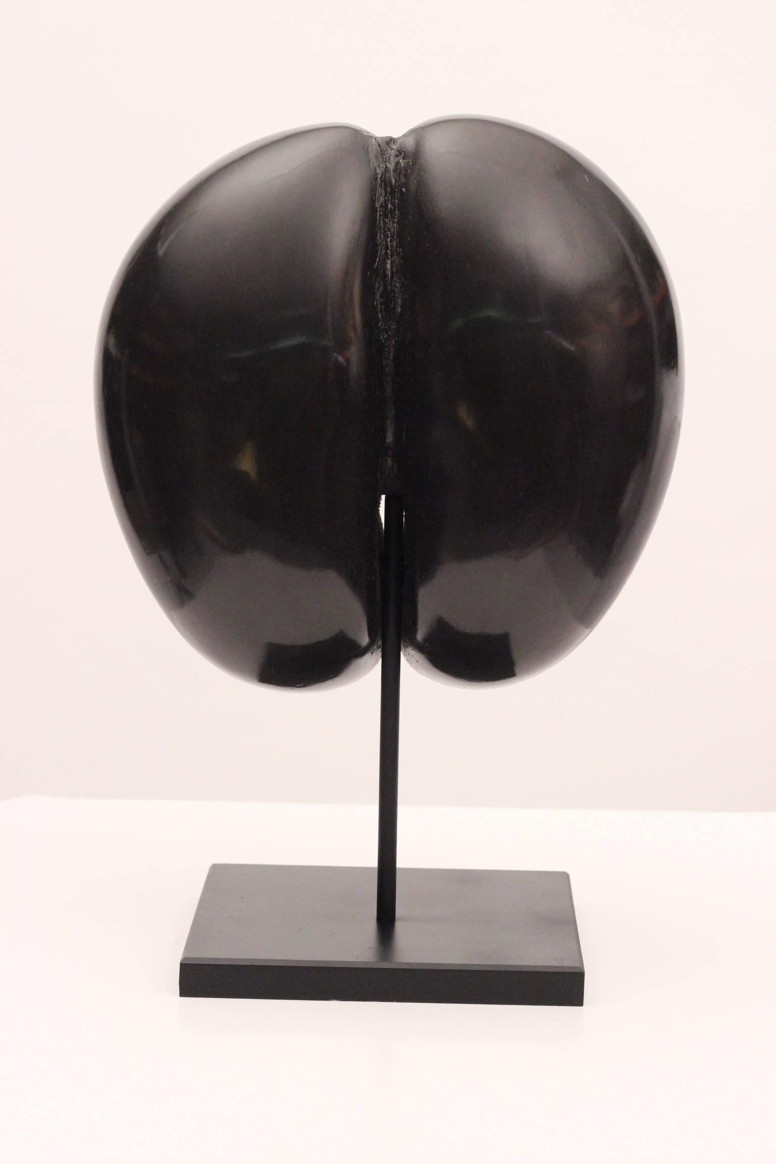 This is a particularly fine symmetrical example of a rare 19th century Coco de Mer Shell which has been beautifully polished and mounted on a bespoke heavy base. 

The Nut and tree of the coco de mer is a rare species of palm tree native to the