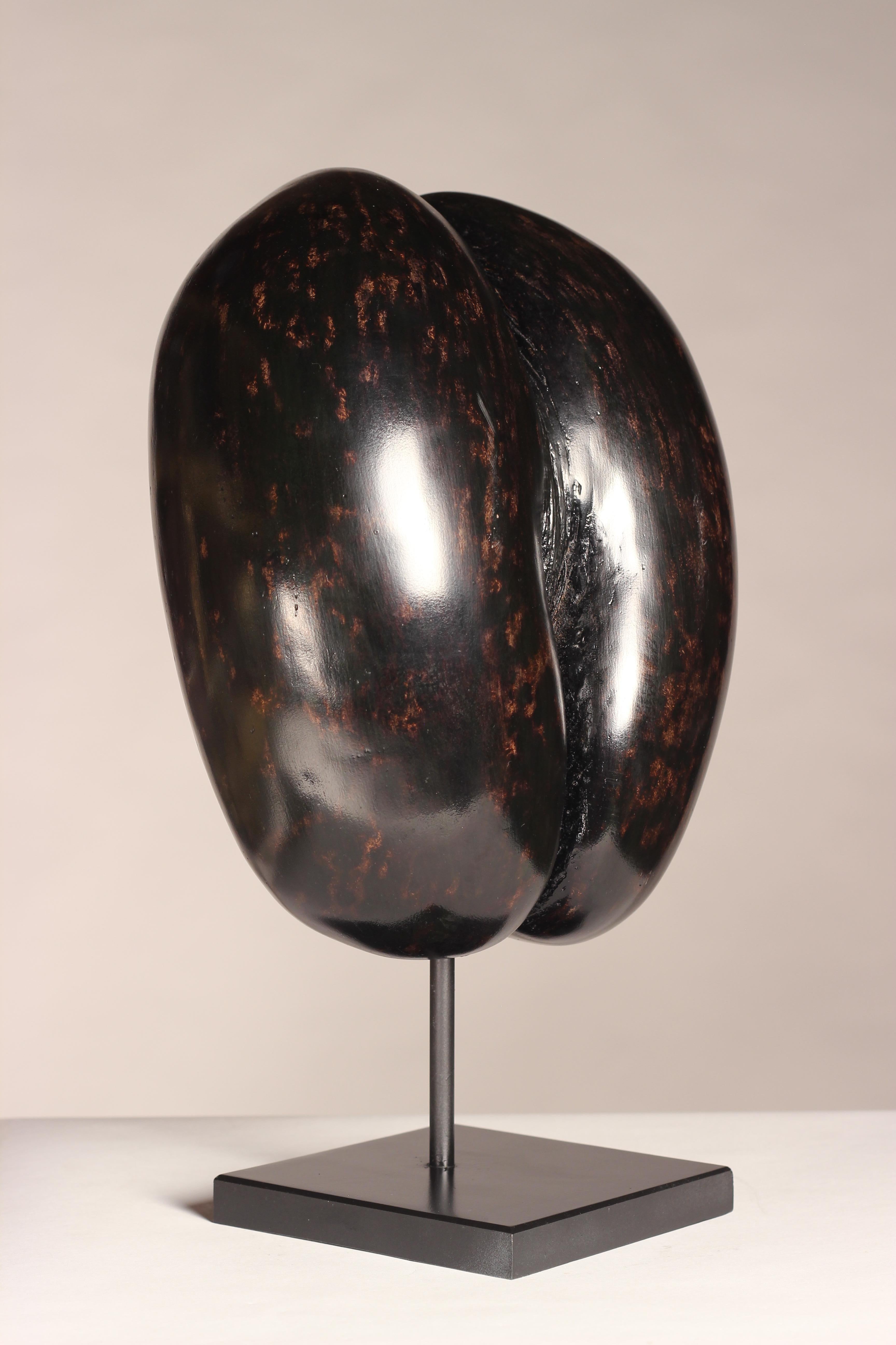 Coco De Mer Shell on Display Stand, circa 1900s perfect for your Wunderkammer 4