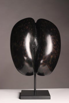 Coco De Mer Shell on Display Stand, circa 1900s perfect for your Wunderkammer