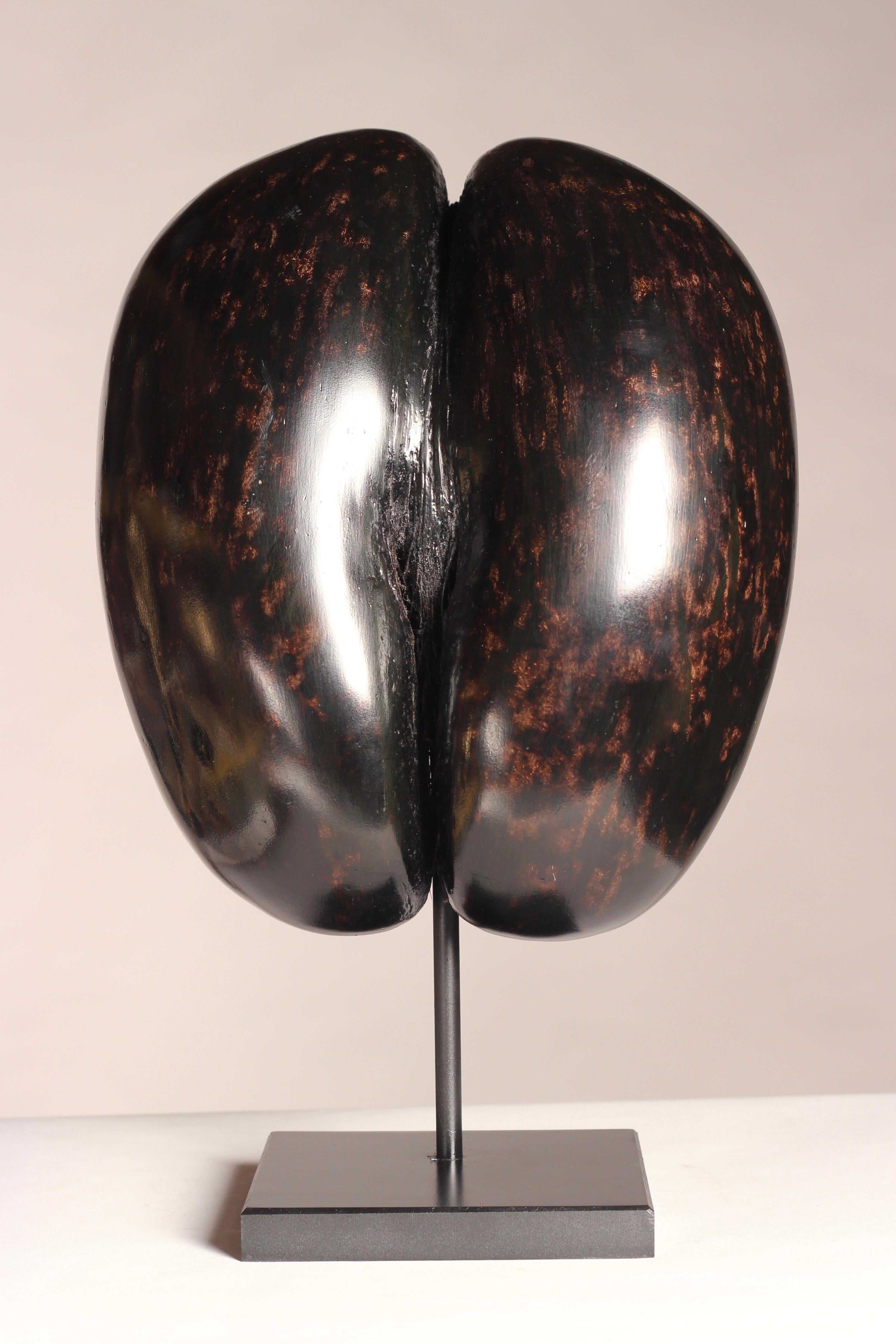 Other Coco De Mer Shell on Display Stand, circa 1900s perfect for your Wunderkammer