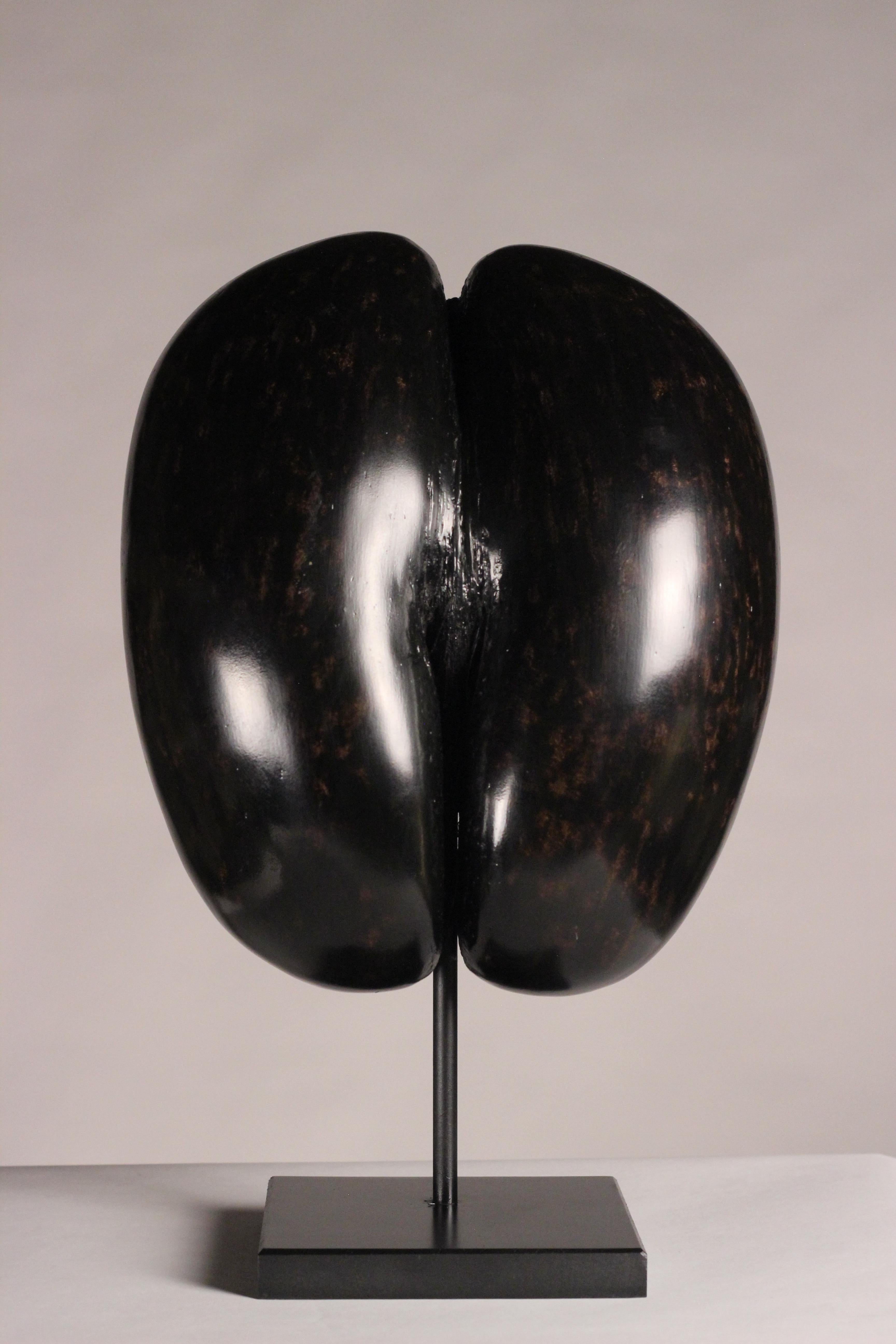 Seychellois Coco De Mer Shell on Display Stand, circa 1900s perfect for your Wunderkammer