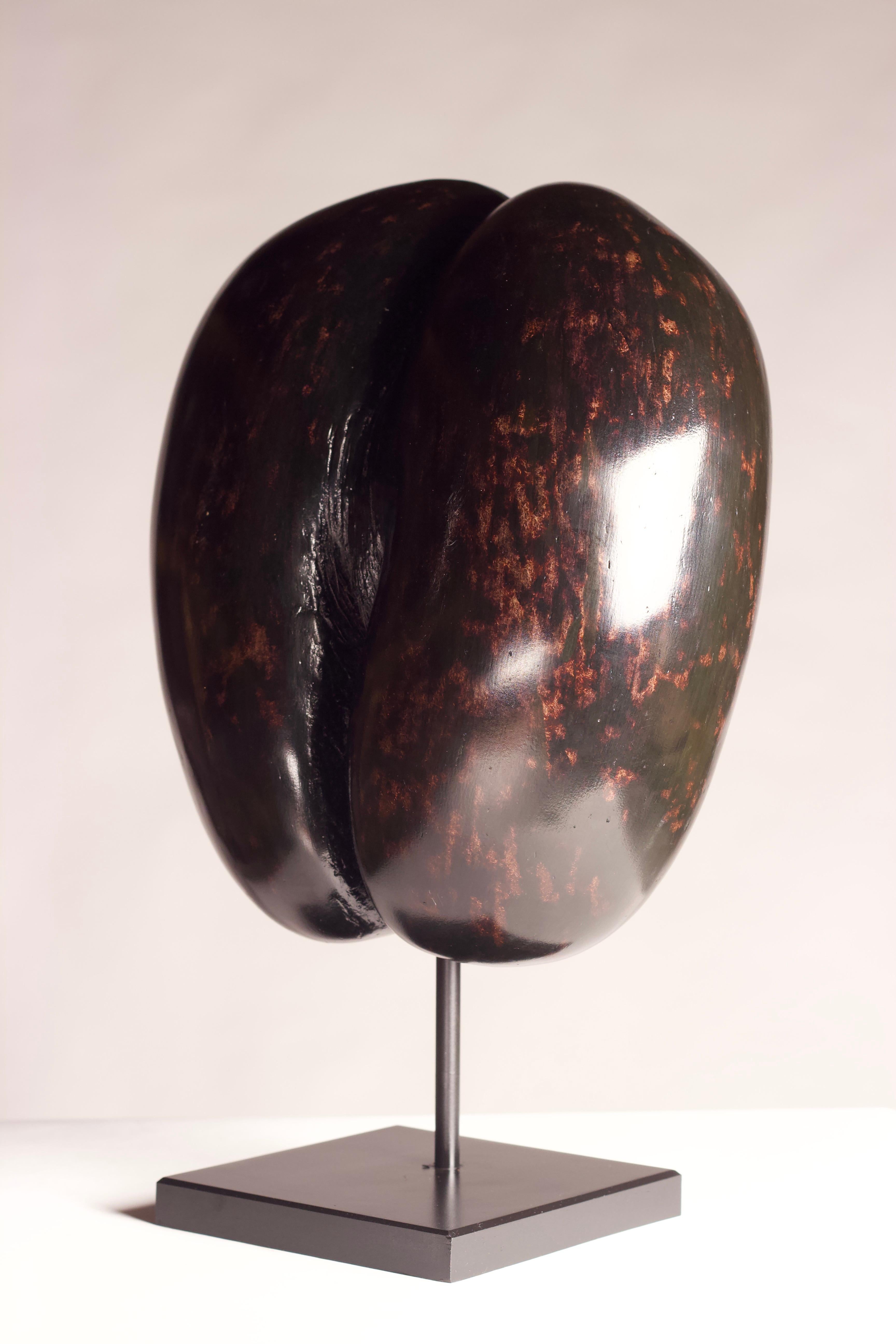 19th Century Coco De Mer Shell on Display Stand, circa 1900s perfect for your Wunderkammer