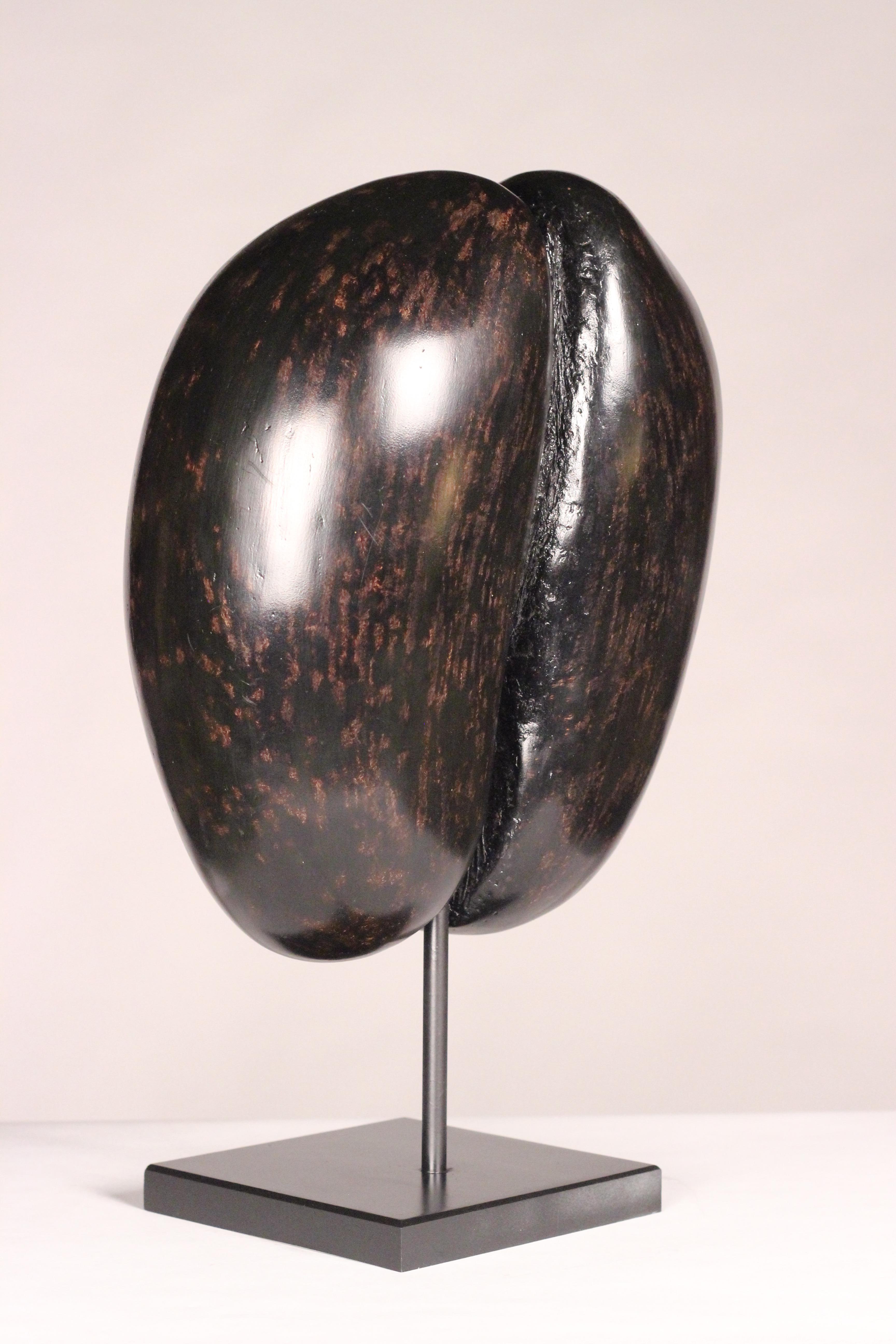 Coco De Mer Shell on Display Stand, circa 1900s perfect for your Wunderkammer 1
