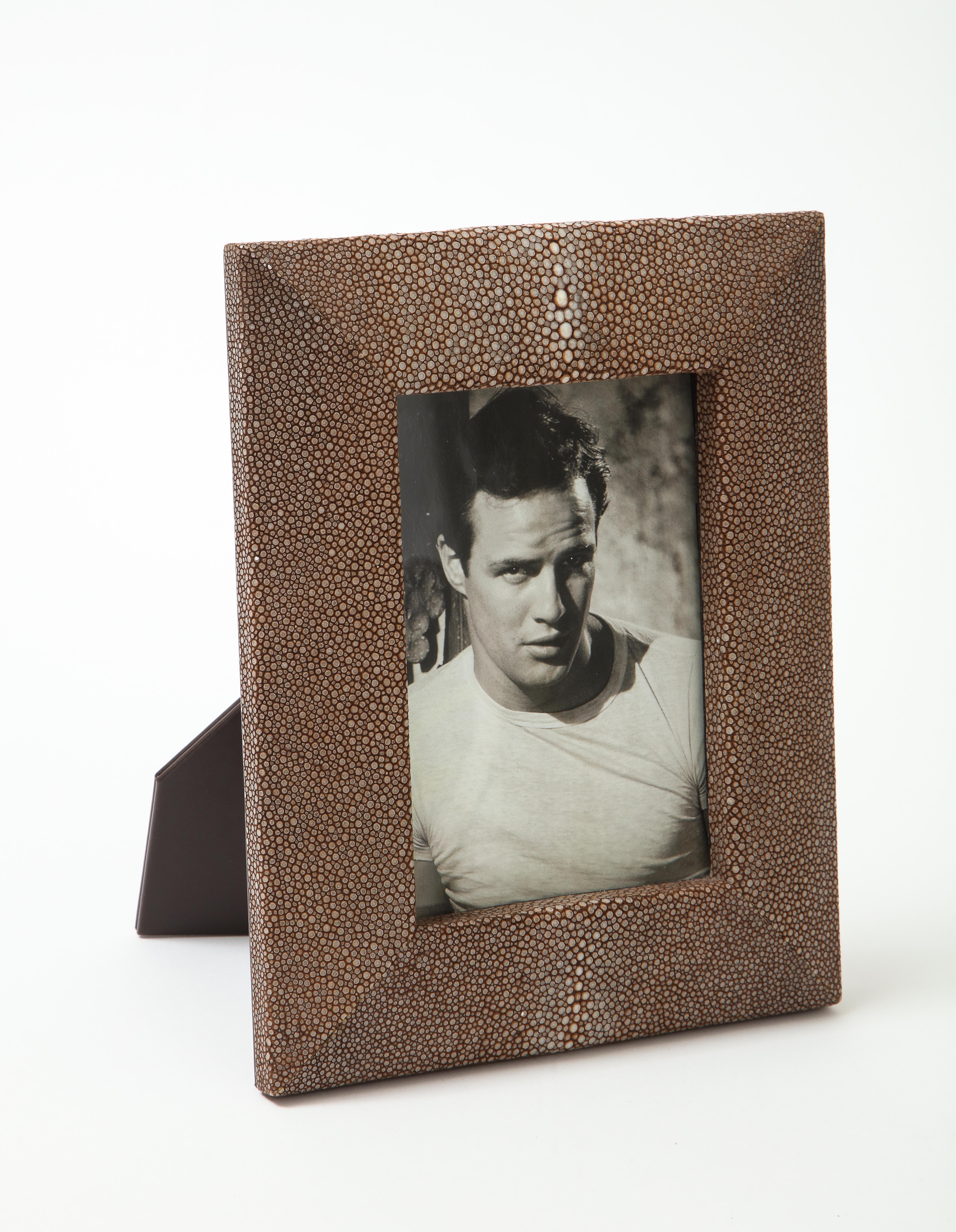 Hand made picture frame featuring cocoa brown, ivory genuine shagreen dimensional border. Interior picture size is 6.5 x 4.5 inches.