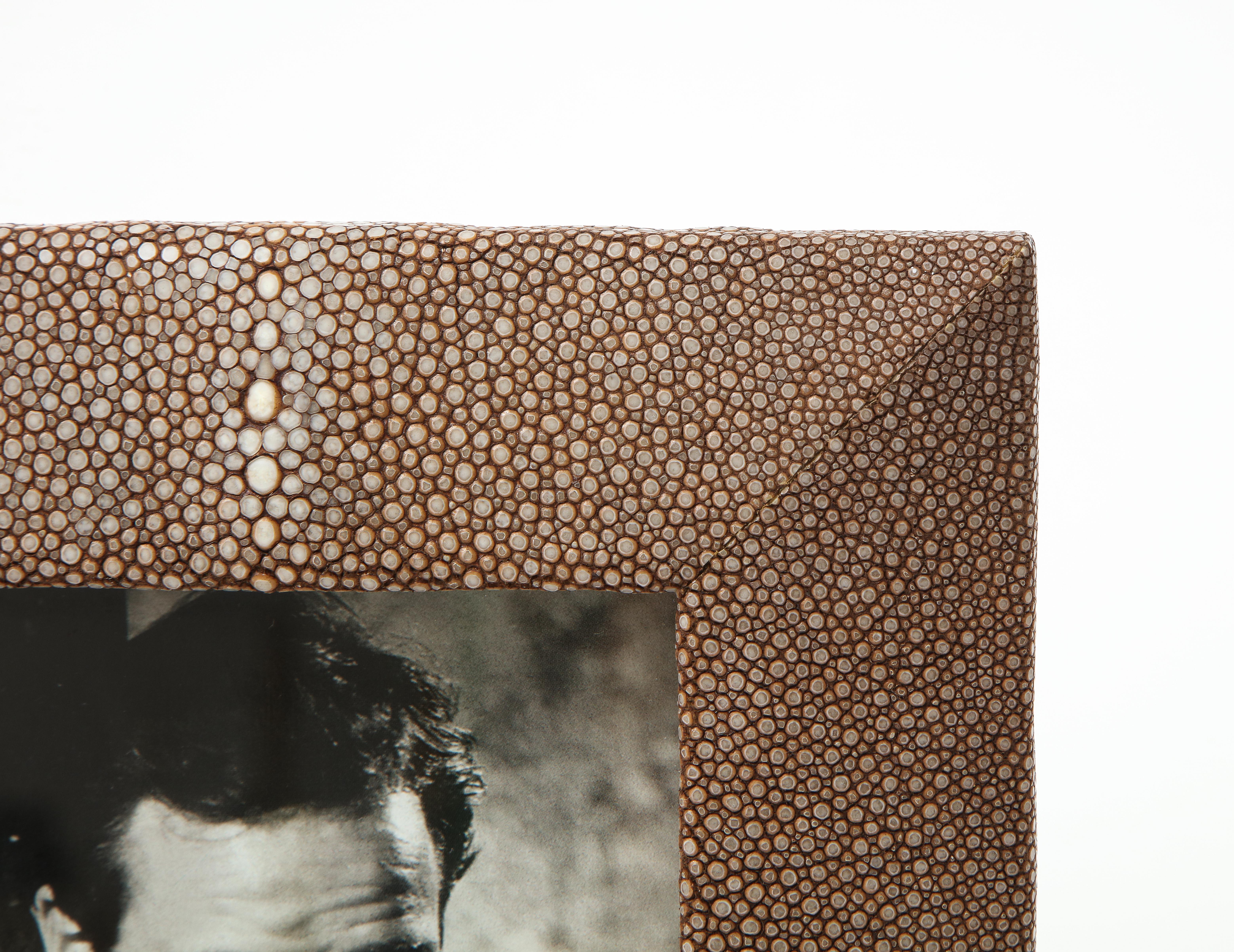 Spanish Cocoa Brown Shagreen Picture Frame For Sale