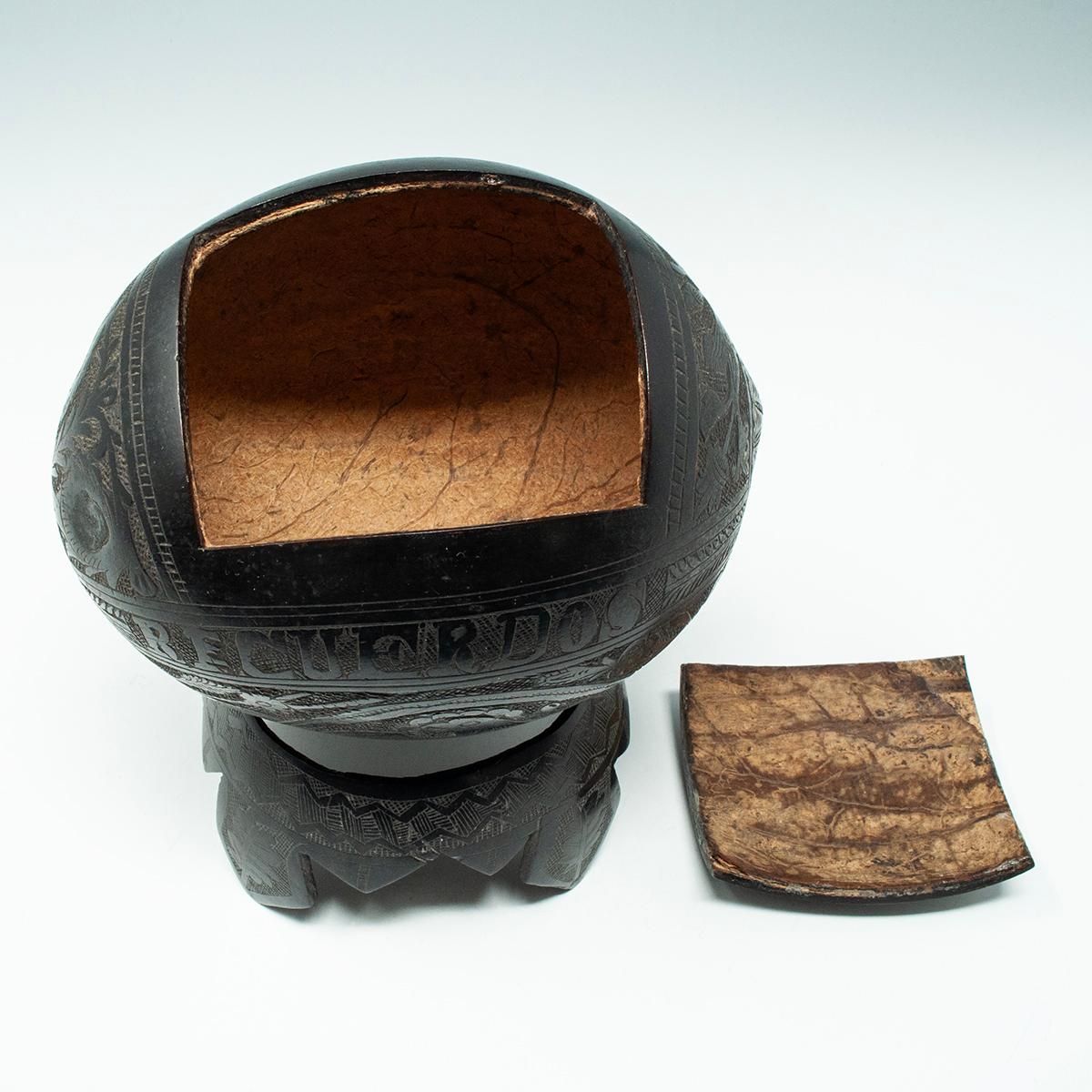 19th Century Coconut Bugbear Box/Tea Caddy by Unknown Sailor For Sale